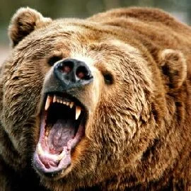 GRIZZL MCGRIZZLY