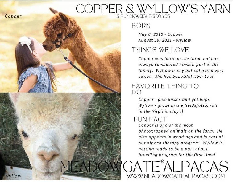 CopperWillow Card.jpg