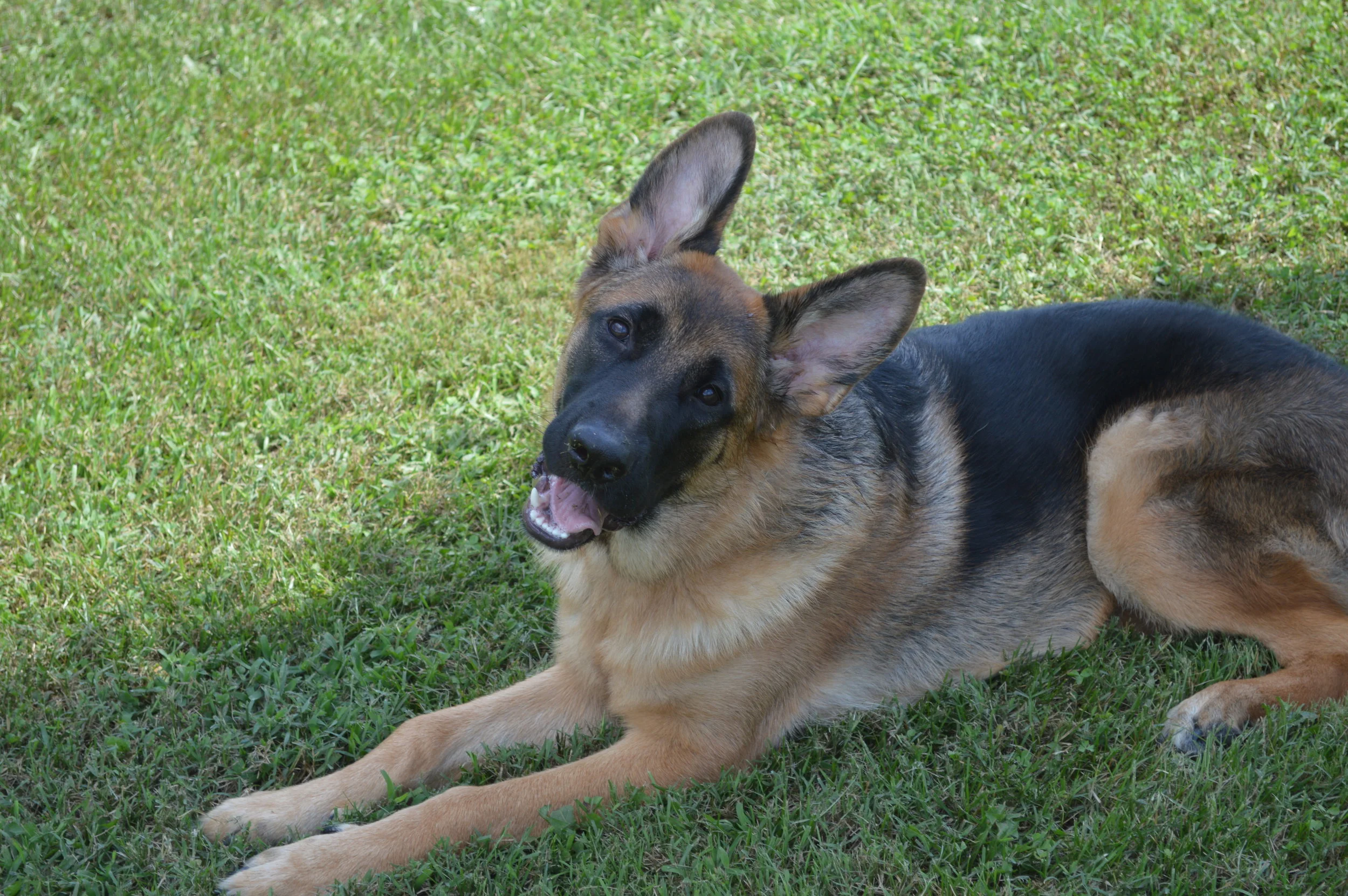 DSC_0428.JPG