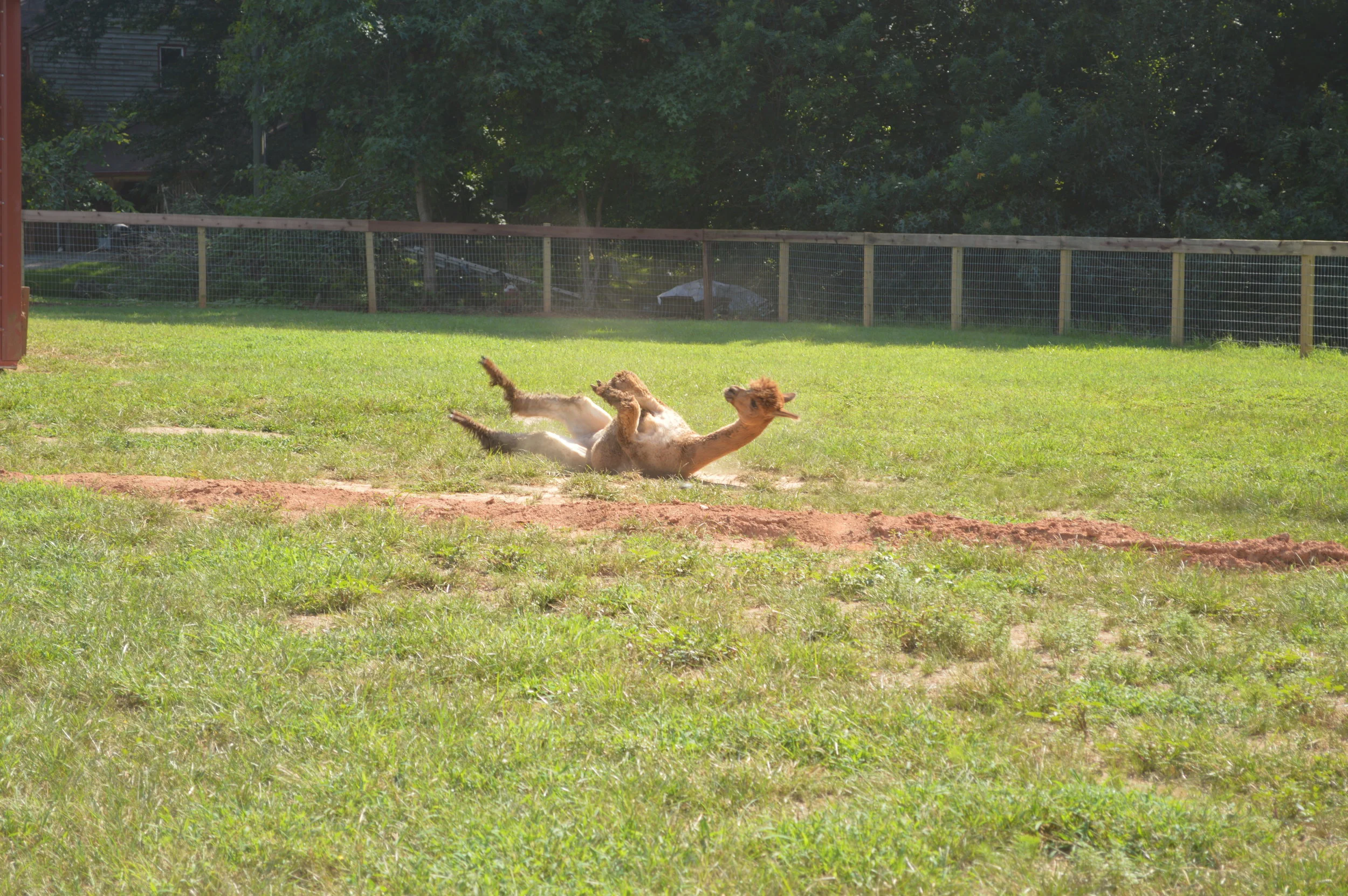 DSC_0517.JPG