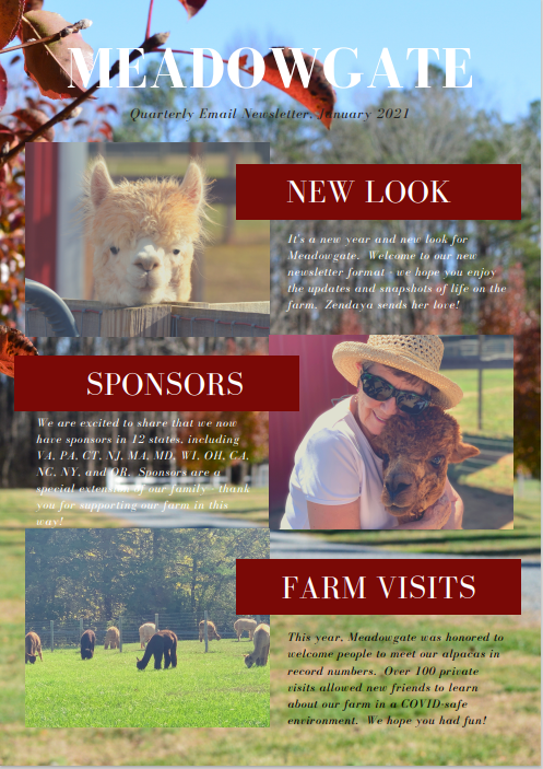 January 2021 Newsletter