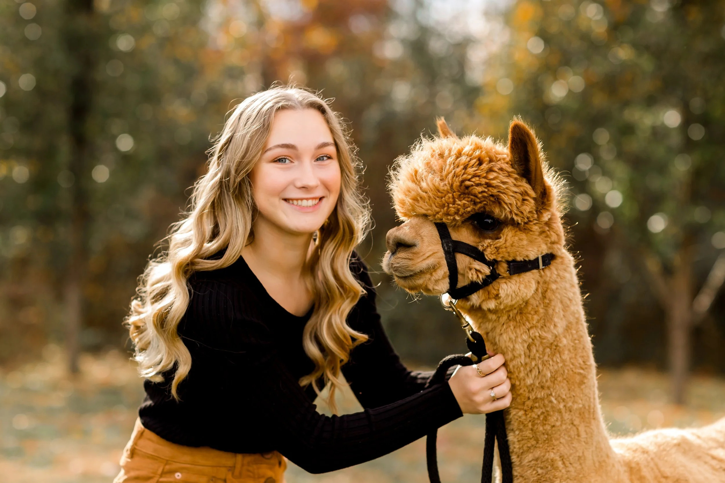 Photography Sessions — Meadowgate™ Alpacas