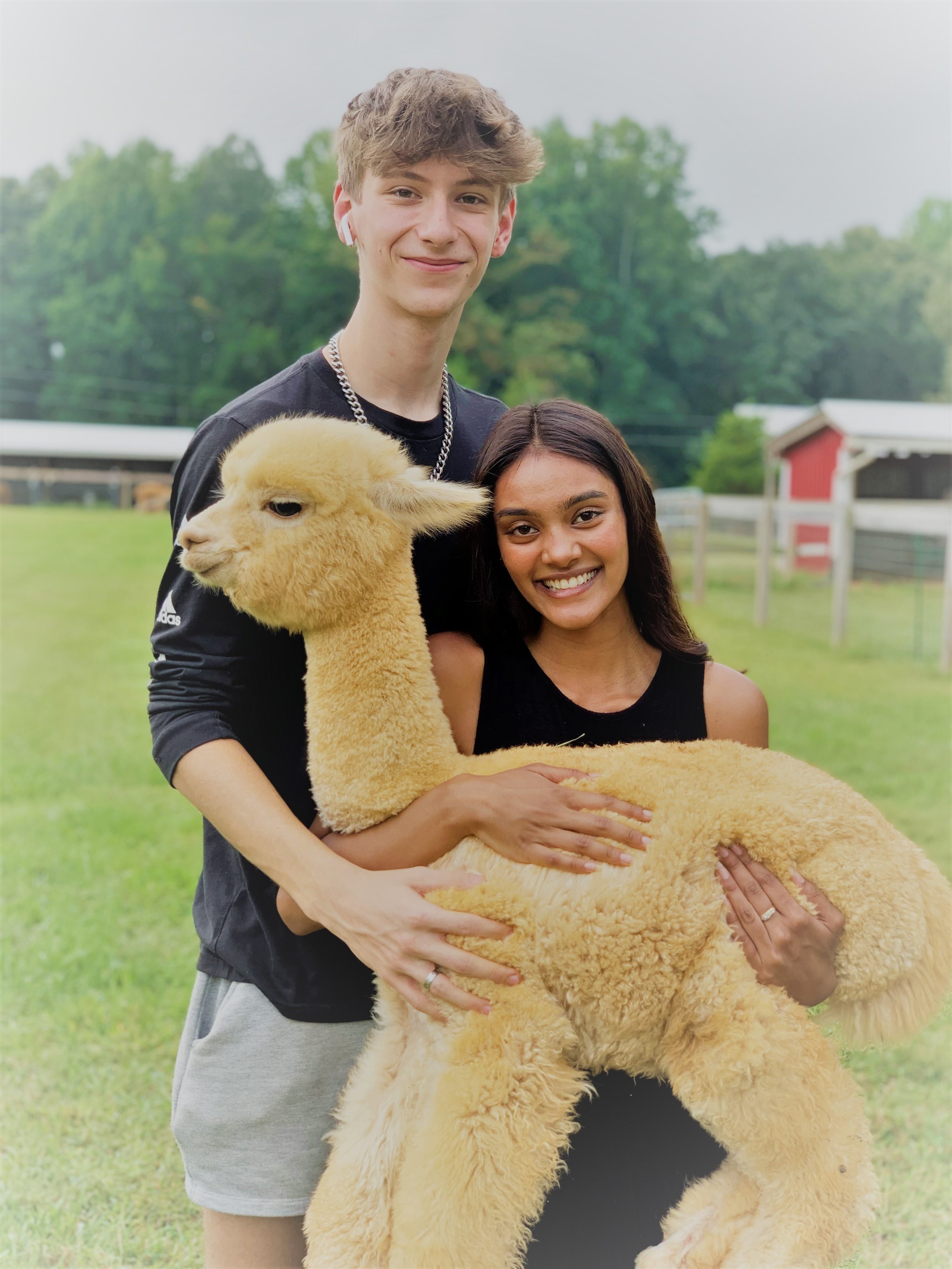 Farm Visit — Meadowgate™ Alpacas