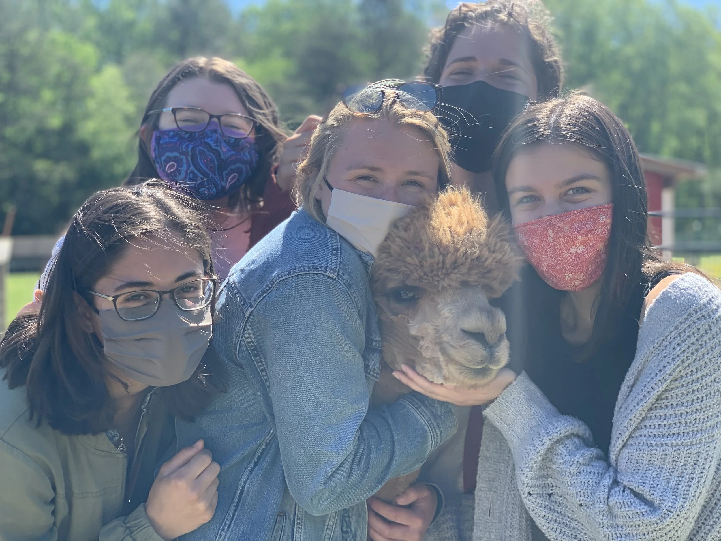 Farm Visit — Meadowgate® Alpacas