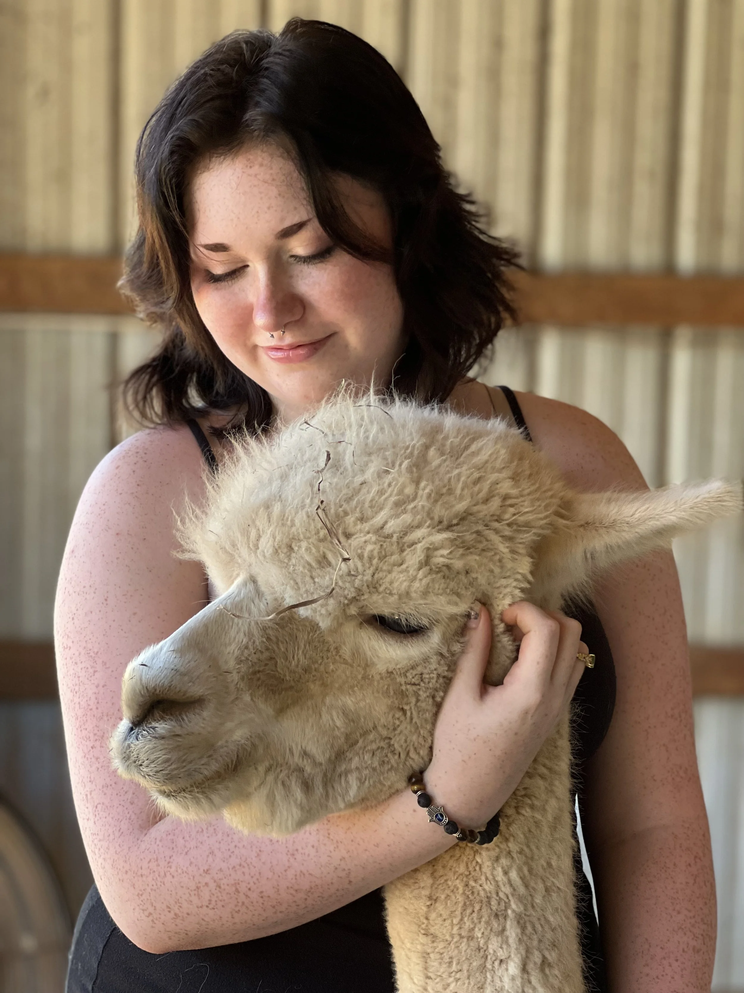Farm Visit — Meadowgate® Alpacas