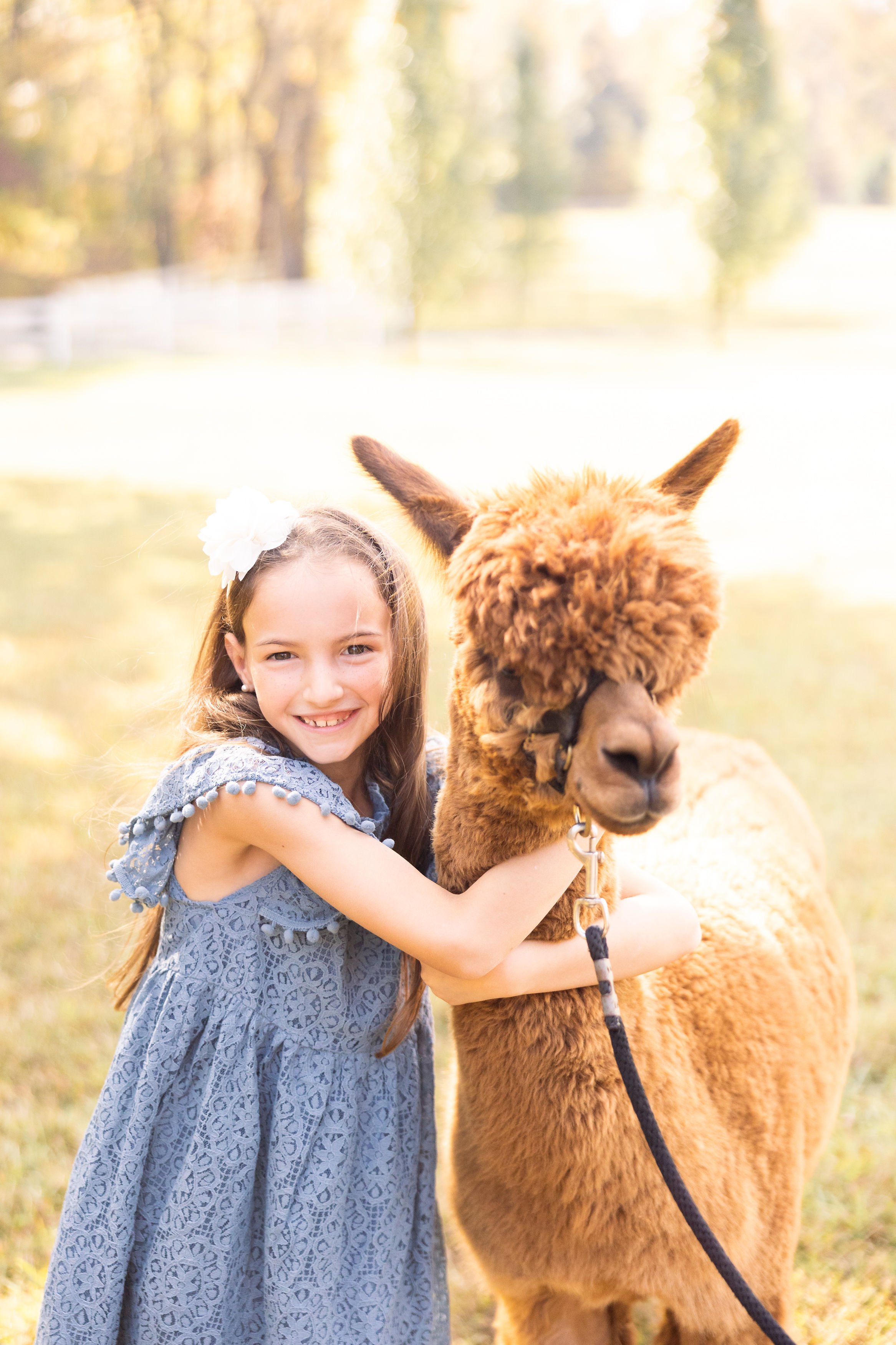 AlpacaMinisbyVirginiaAshleyPhotography-337.jpg