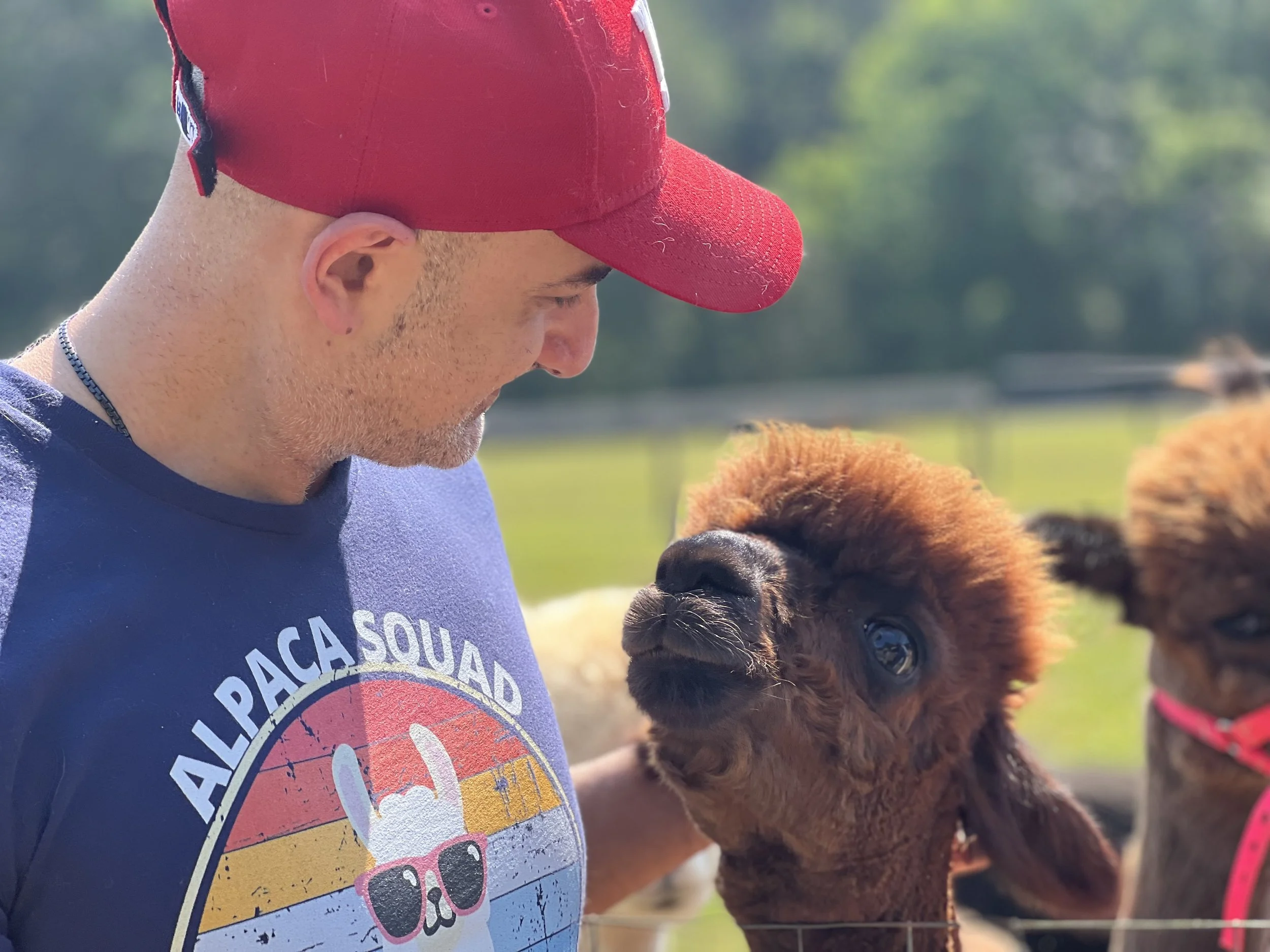 Farm Visit — Meadowgate® Alpacas