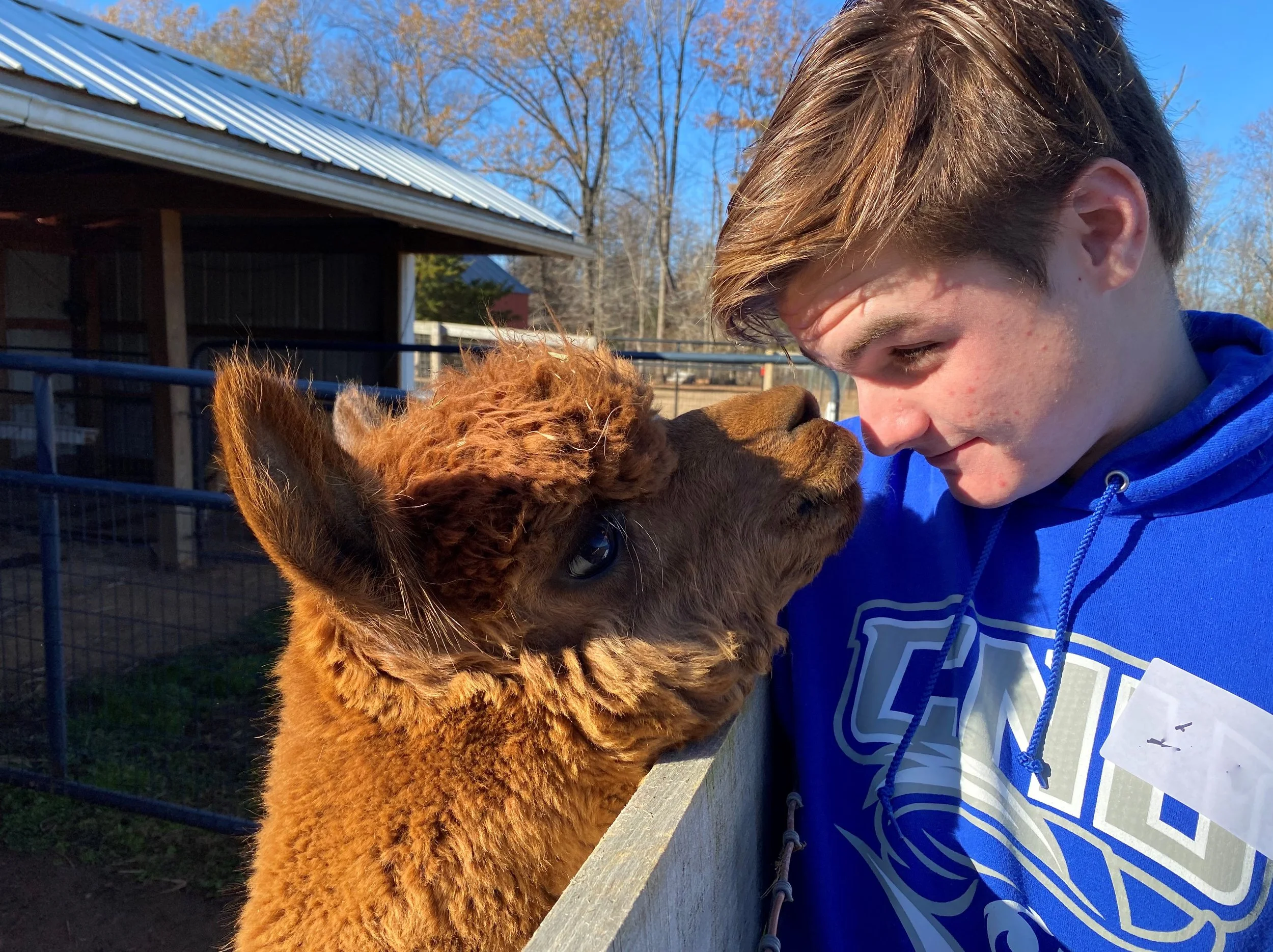 Farm Visit — Meadowgate® Alpacas