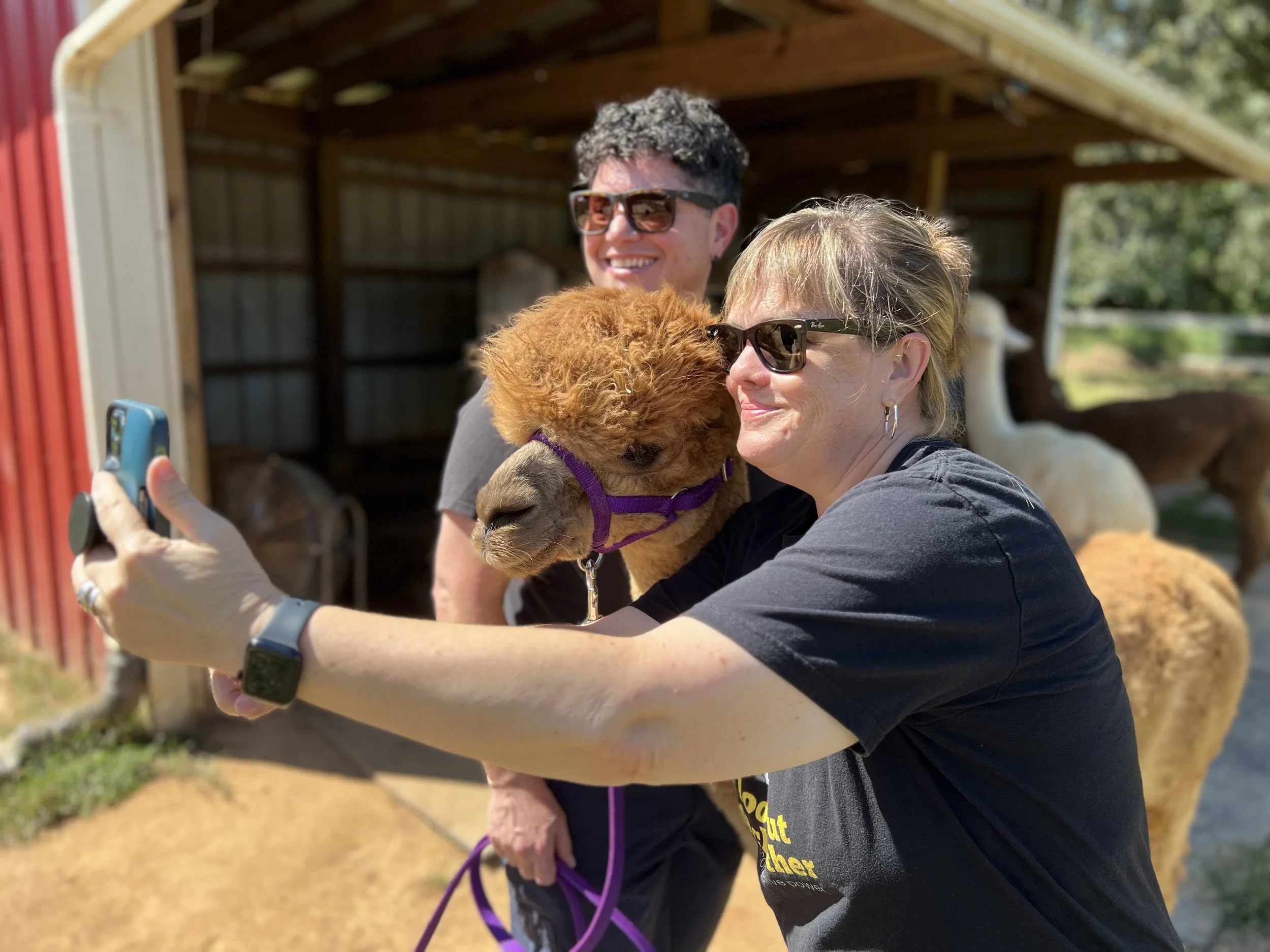 Farm Visit — Meadowgate® Alpacas
