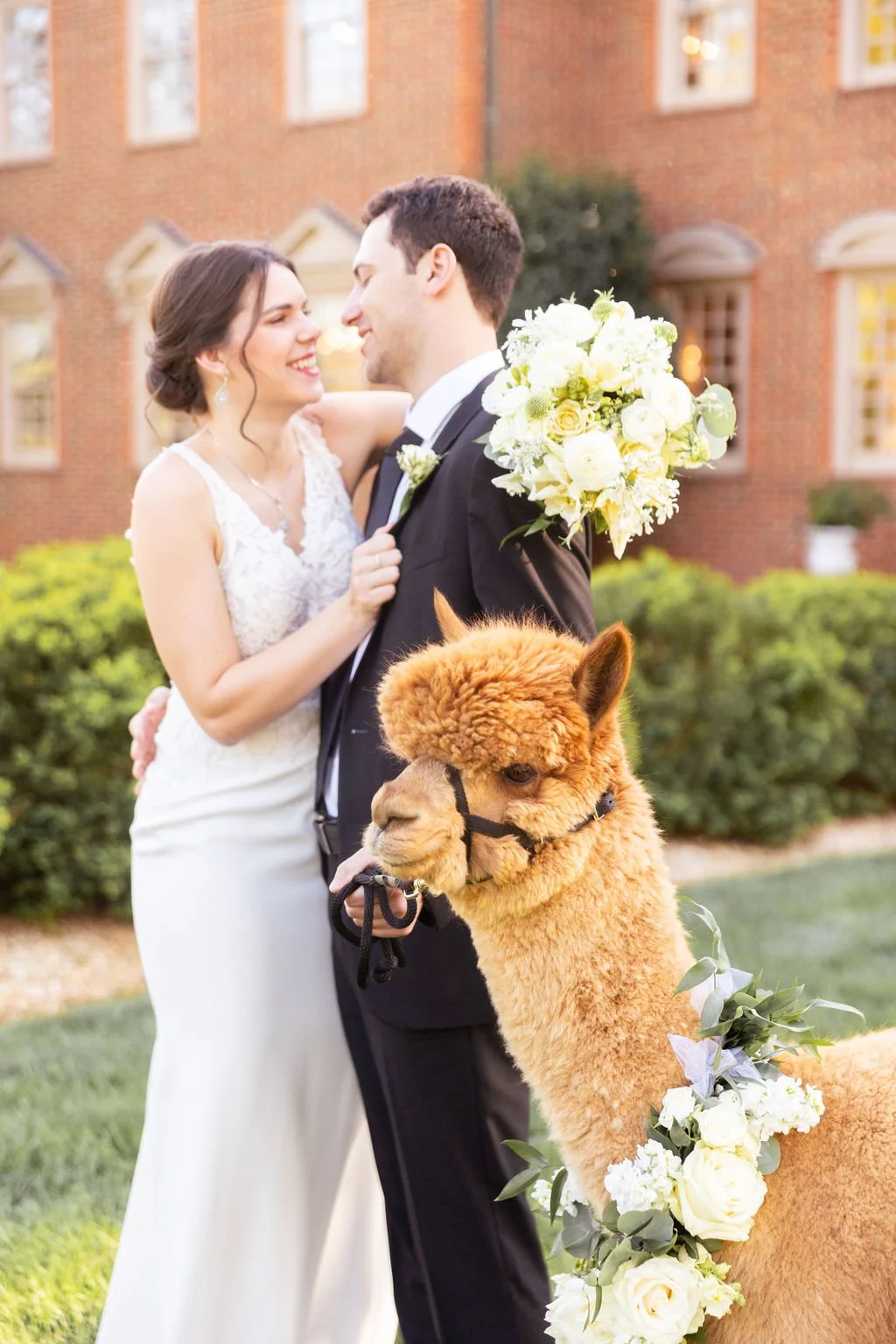 MeadowgateAlpacasStyledShootbyVirginiaAshleyPhotography-201.jpg