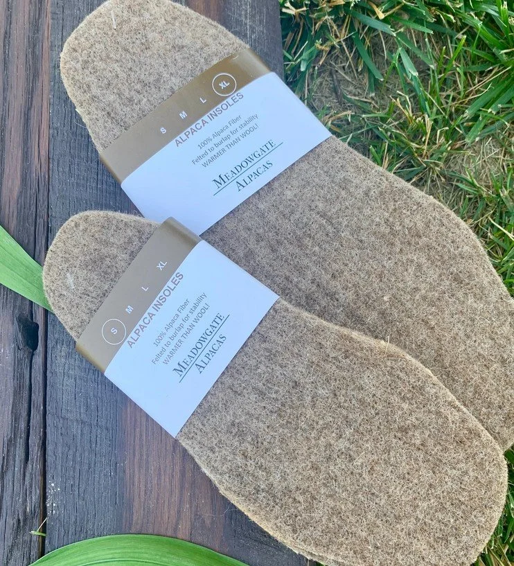 Insole3.jpg