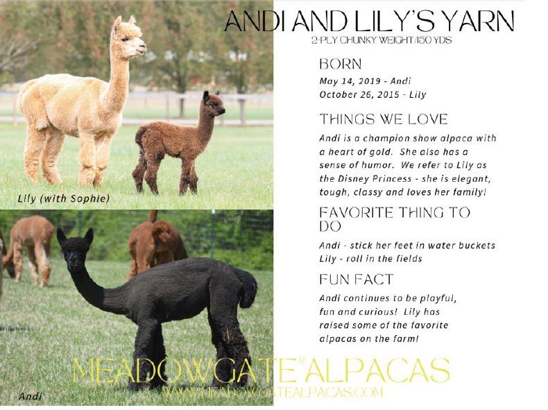 AndyLily Card.jpg