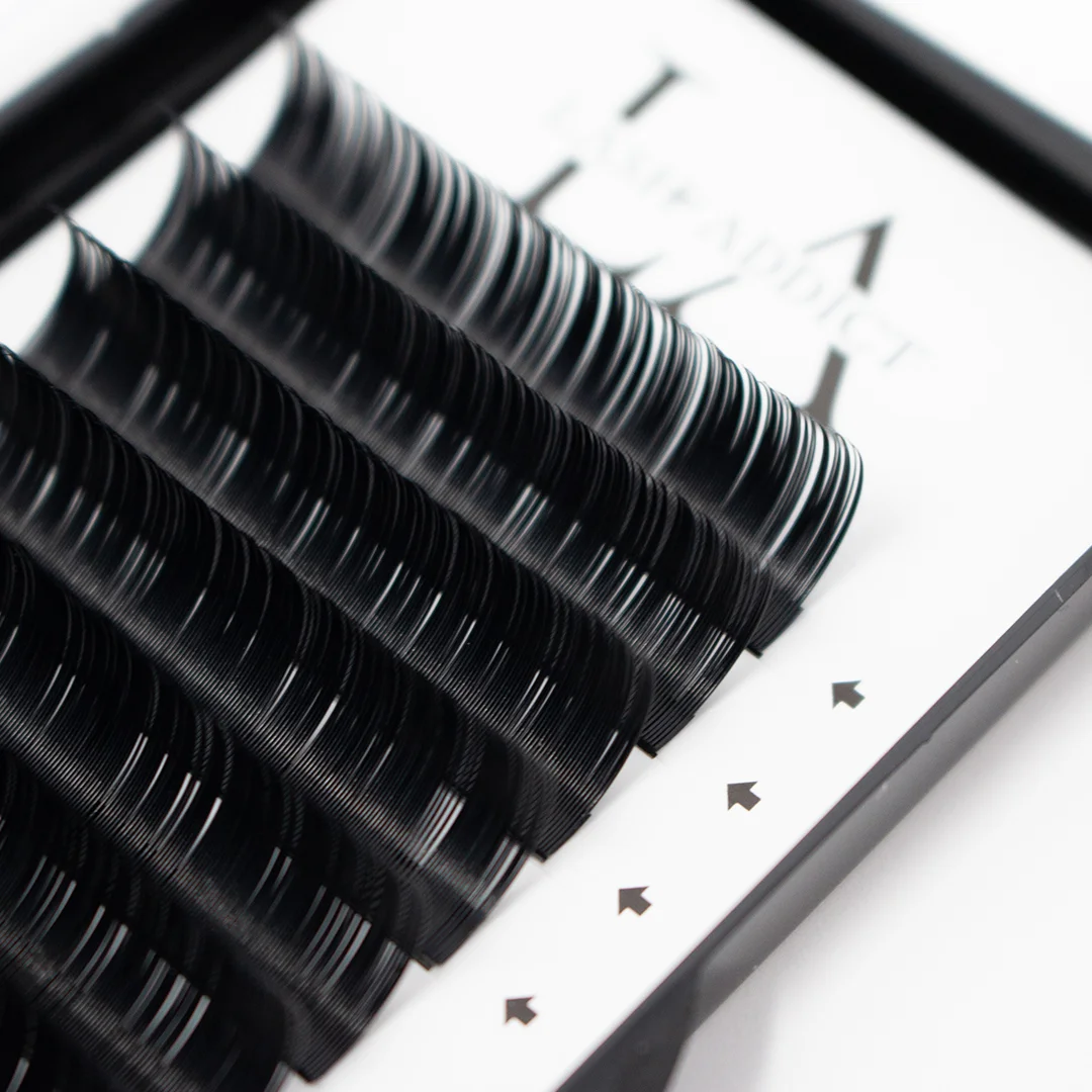 Lash Photo 2.jpg