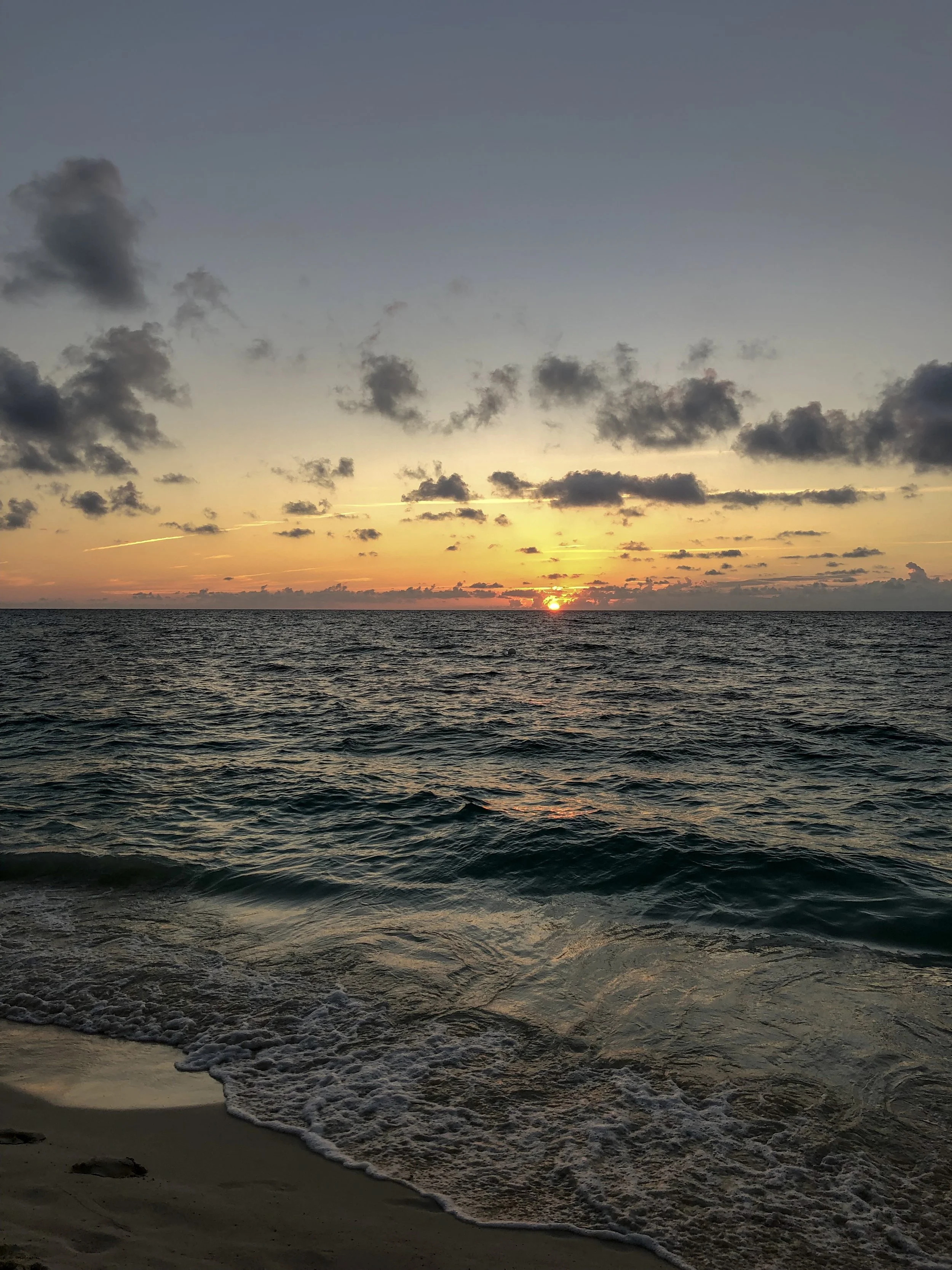 IMG_1674.jpeg