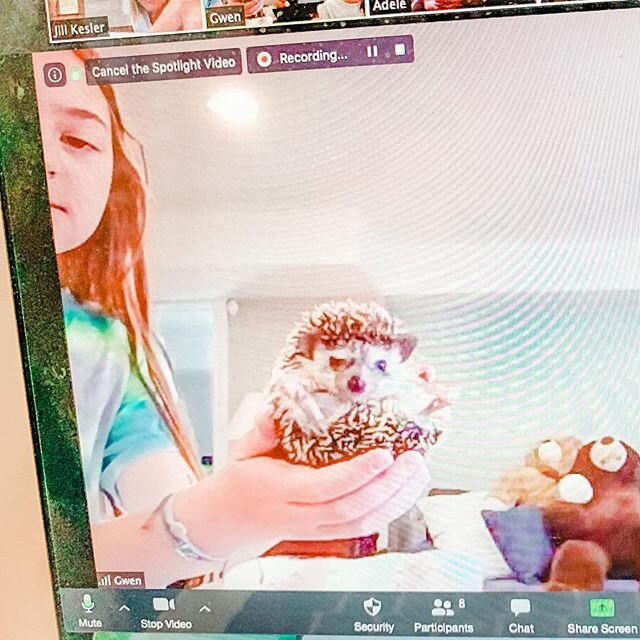 Sometimes our ZOOM Virtual art classes turn into pet show and tell! I love my peeps! AND their animals!!! We&rsquo;ve seen hedge hogs, dogs, cats, lizards, and guinea pigs!