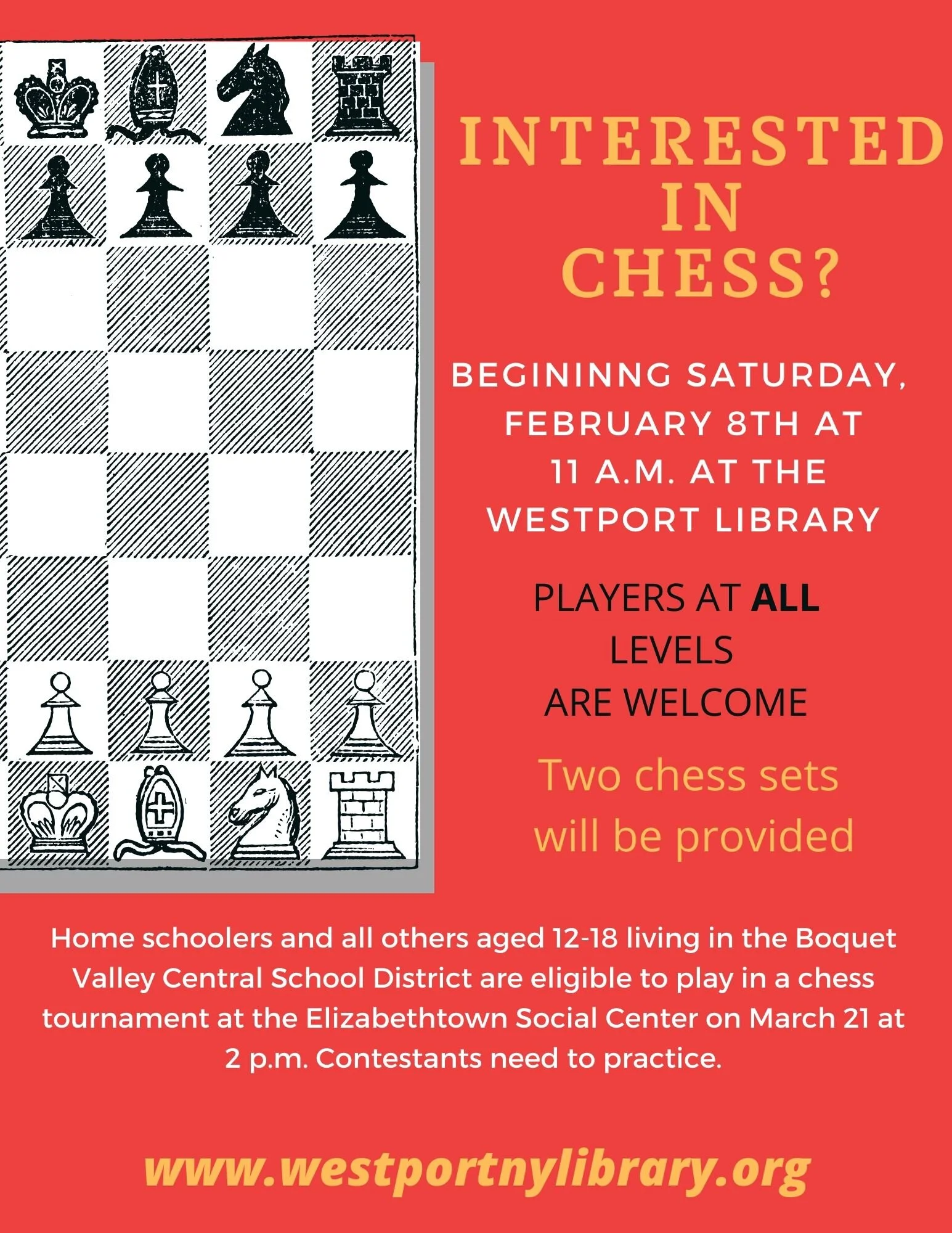 Chess at the Library
