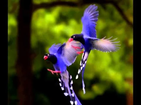 The Teacher-Student Relationship