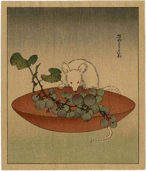 New Year's Greetings!