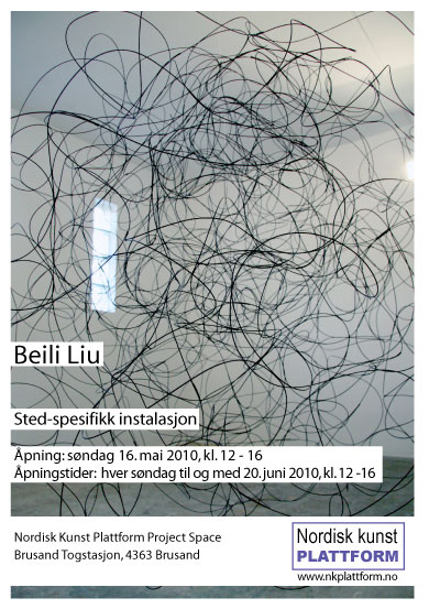 Beili Liu (China), site-specific installation