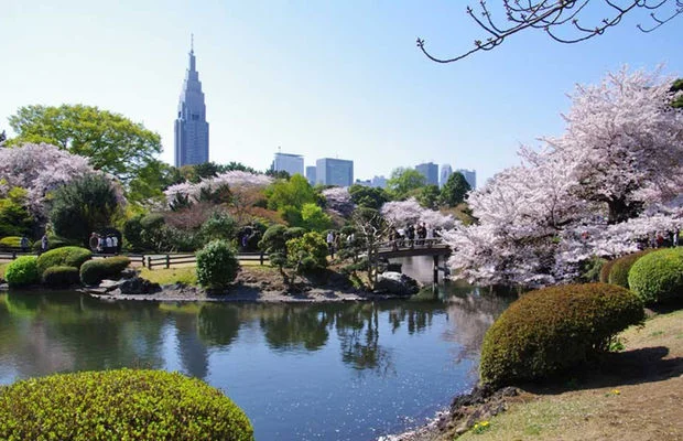 SHINJUKU-GYOEN
