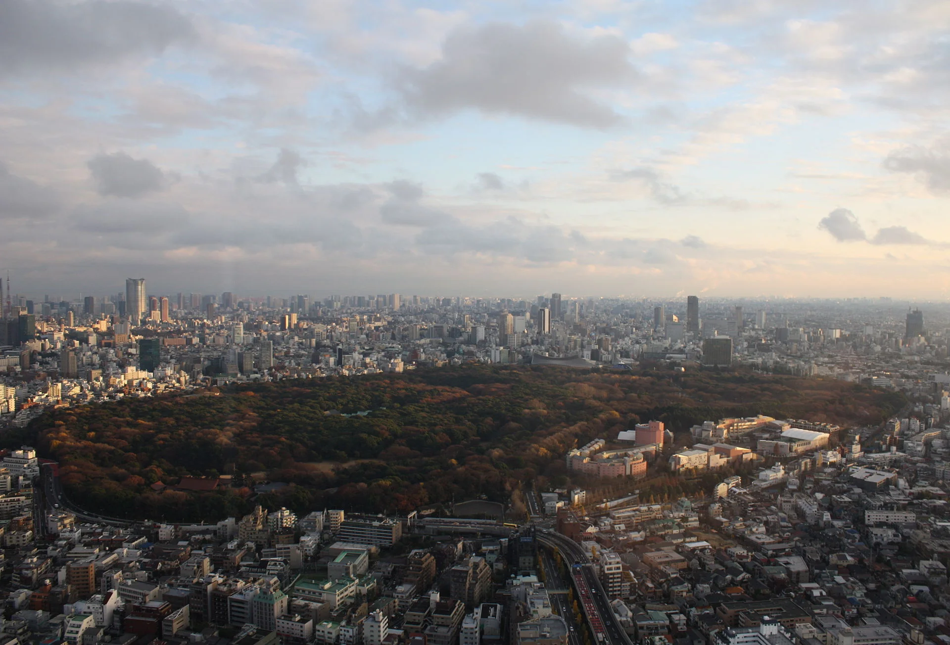 YOYOGI PARK & MEIJI SHRINE