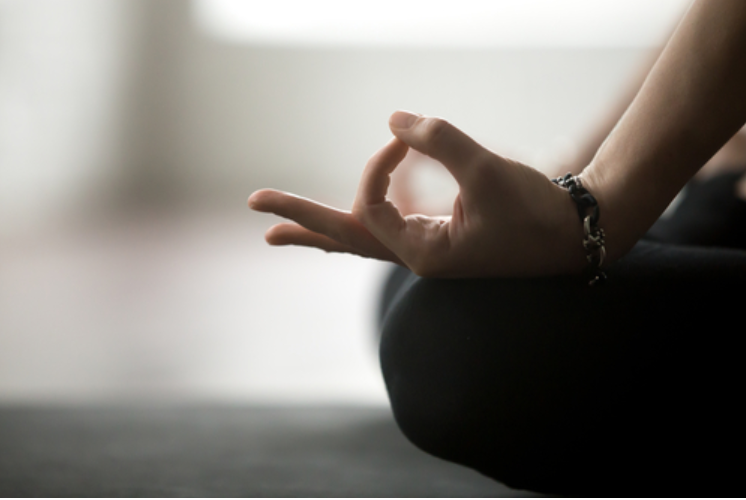 Meditating in a Noisy World