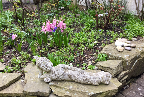 Kindness and Compassion during Covid-19