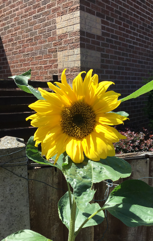 Staying Calm and Thriving in Tough Times