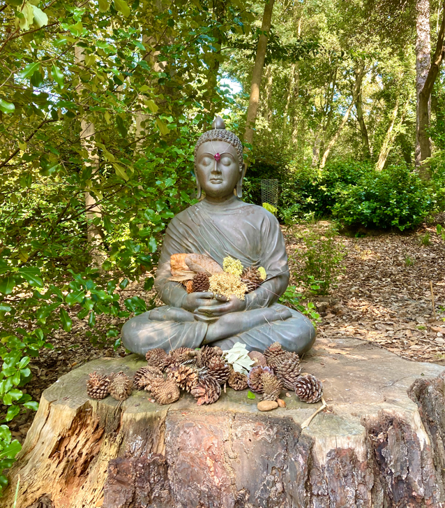 Staying Well in Autumn