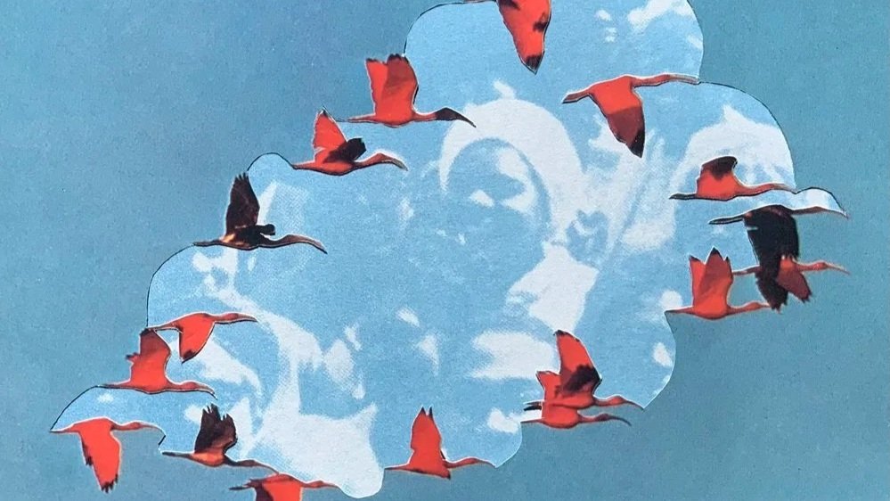 Flyways &amp; Freedom: Birding with Troy Bynum &amp; Yannick Lowery