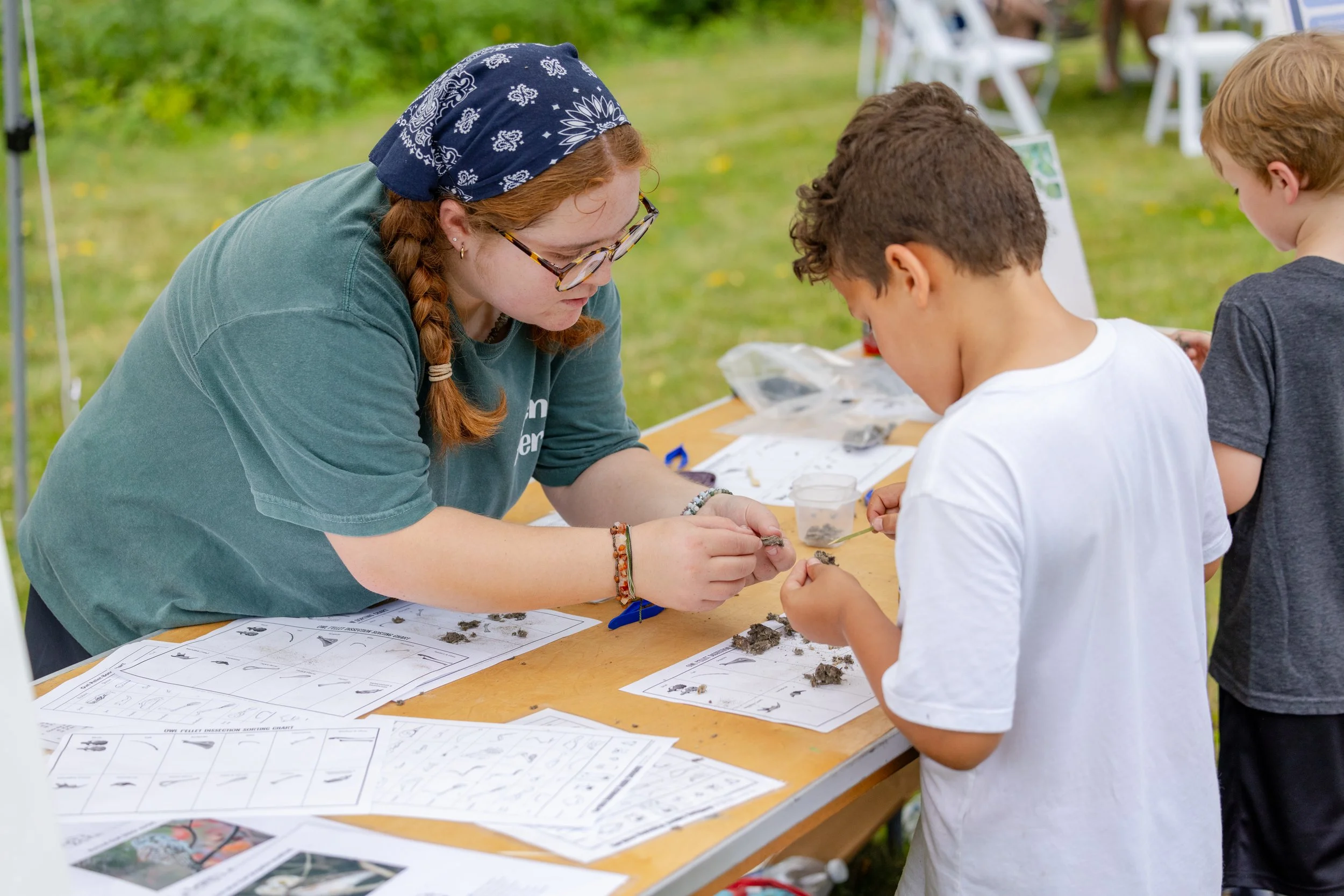 Owl Pellet Workshop