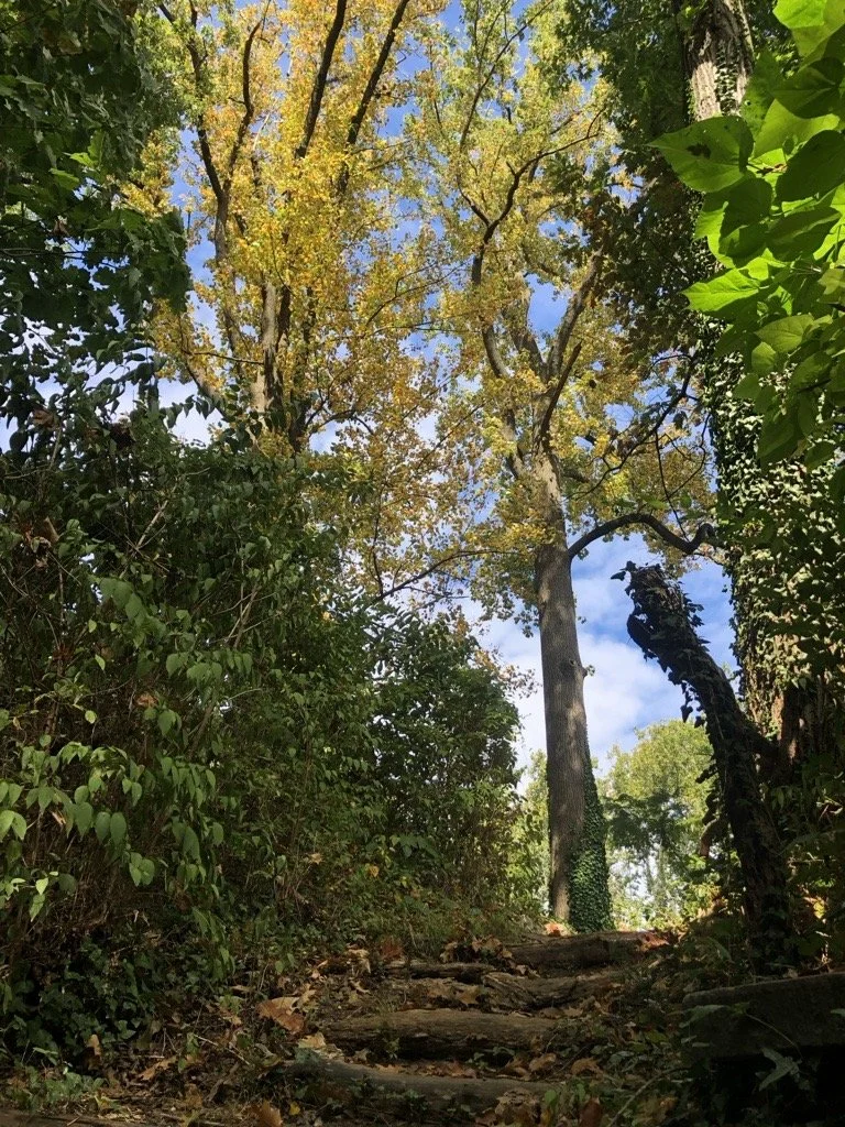 Glen Foerd Grounds Tour