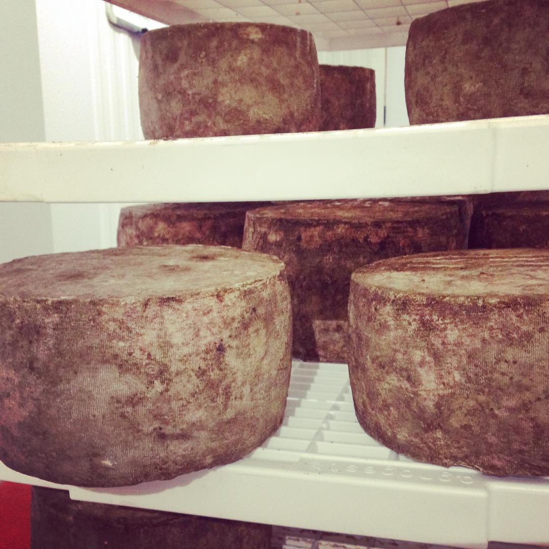 lucky-linda-aged-cheddar.jpg