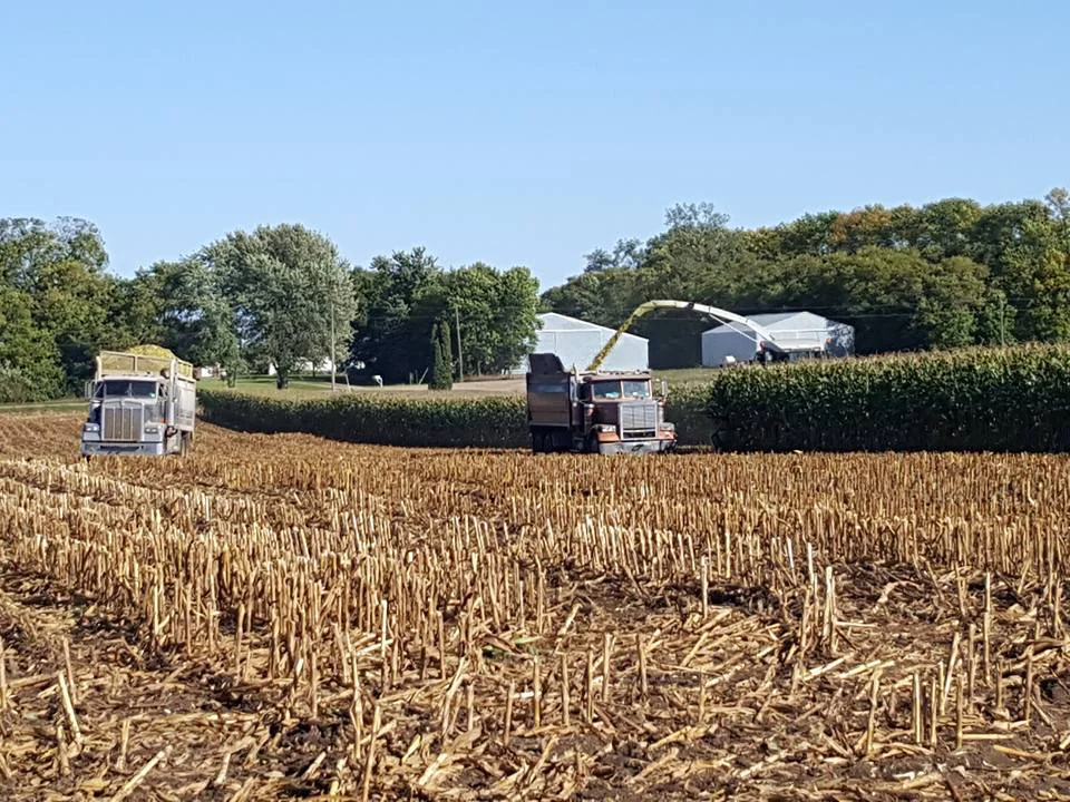 harvest.jpg