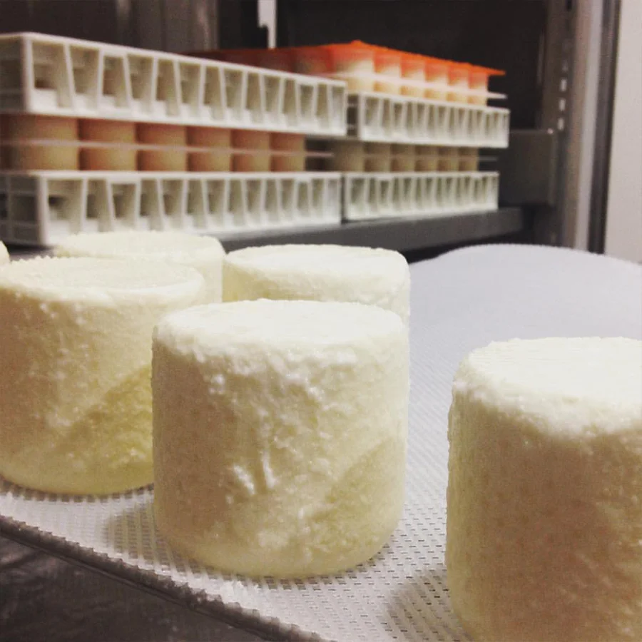 making-cheese-artisan.jpg