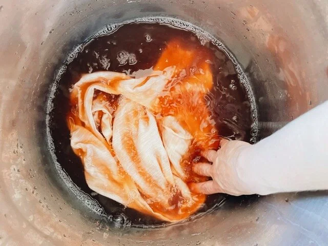 Basics of Botanical Dyeing Class with Ema Hegberg