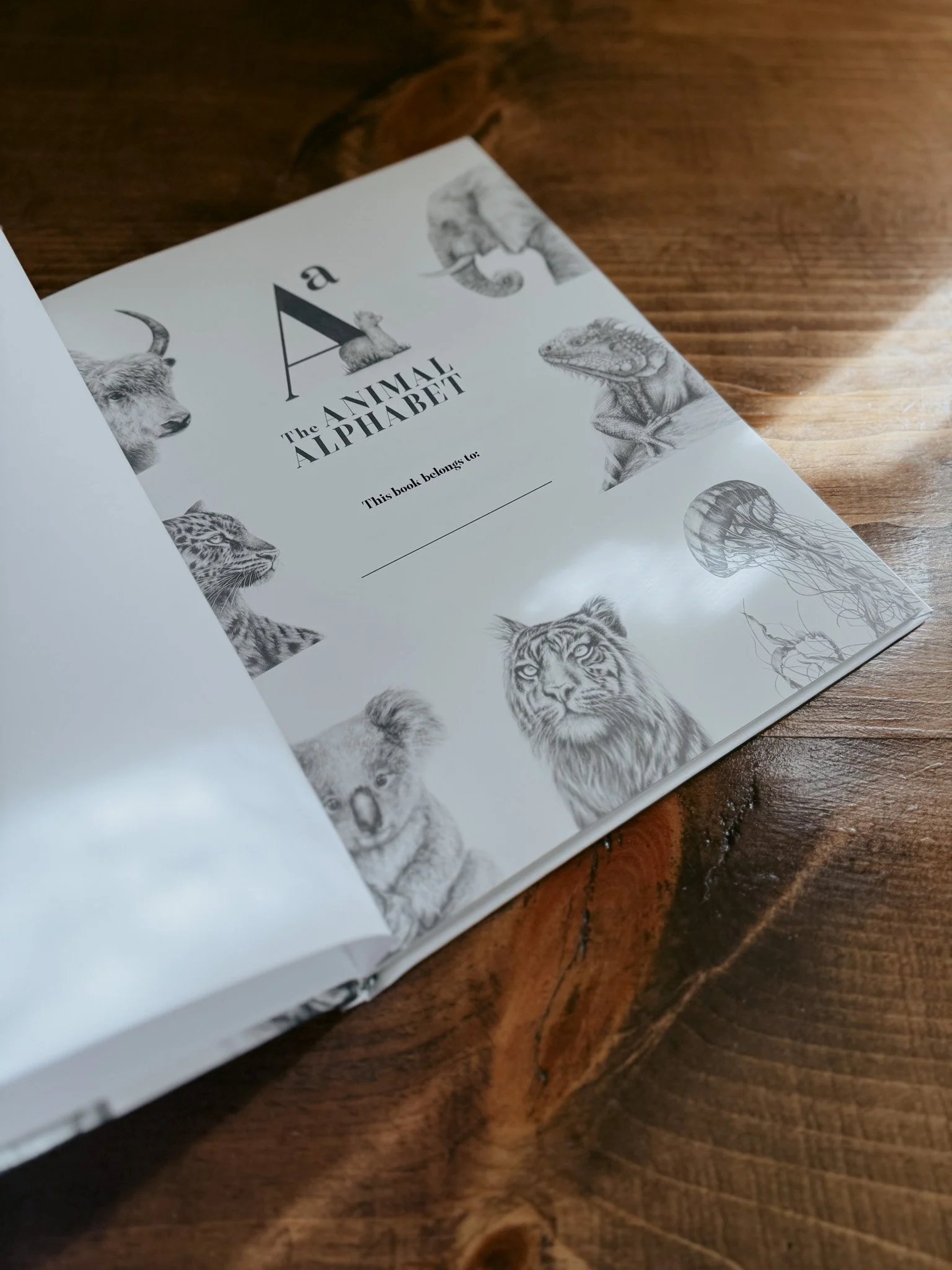 Imperfect Hardcover-06.jpg