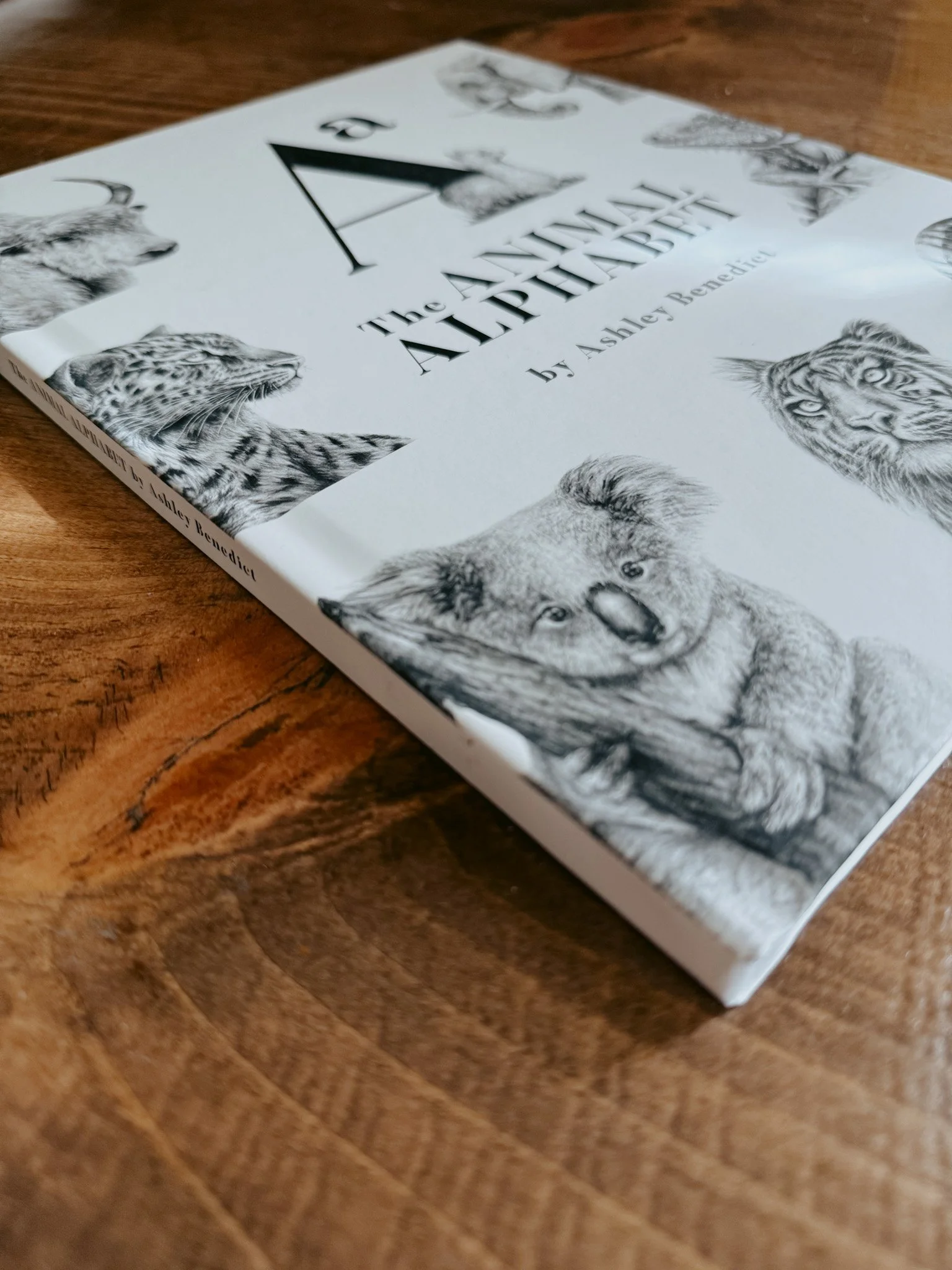 Imperfect Hardcover-10.jpg