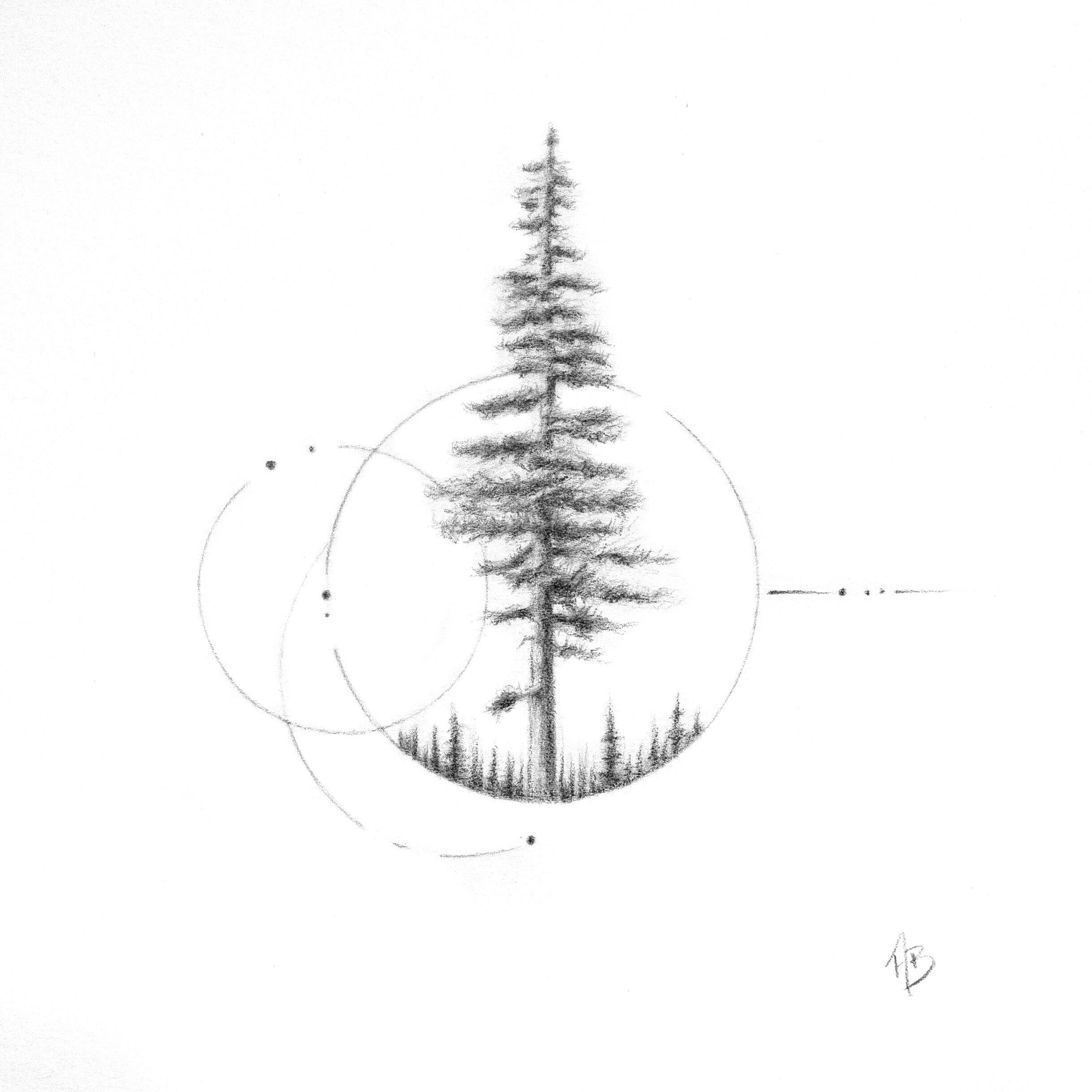 Geometric Sequoia