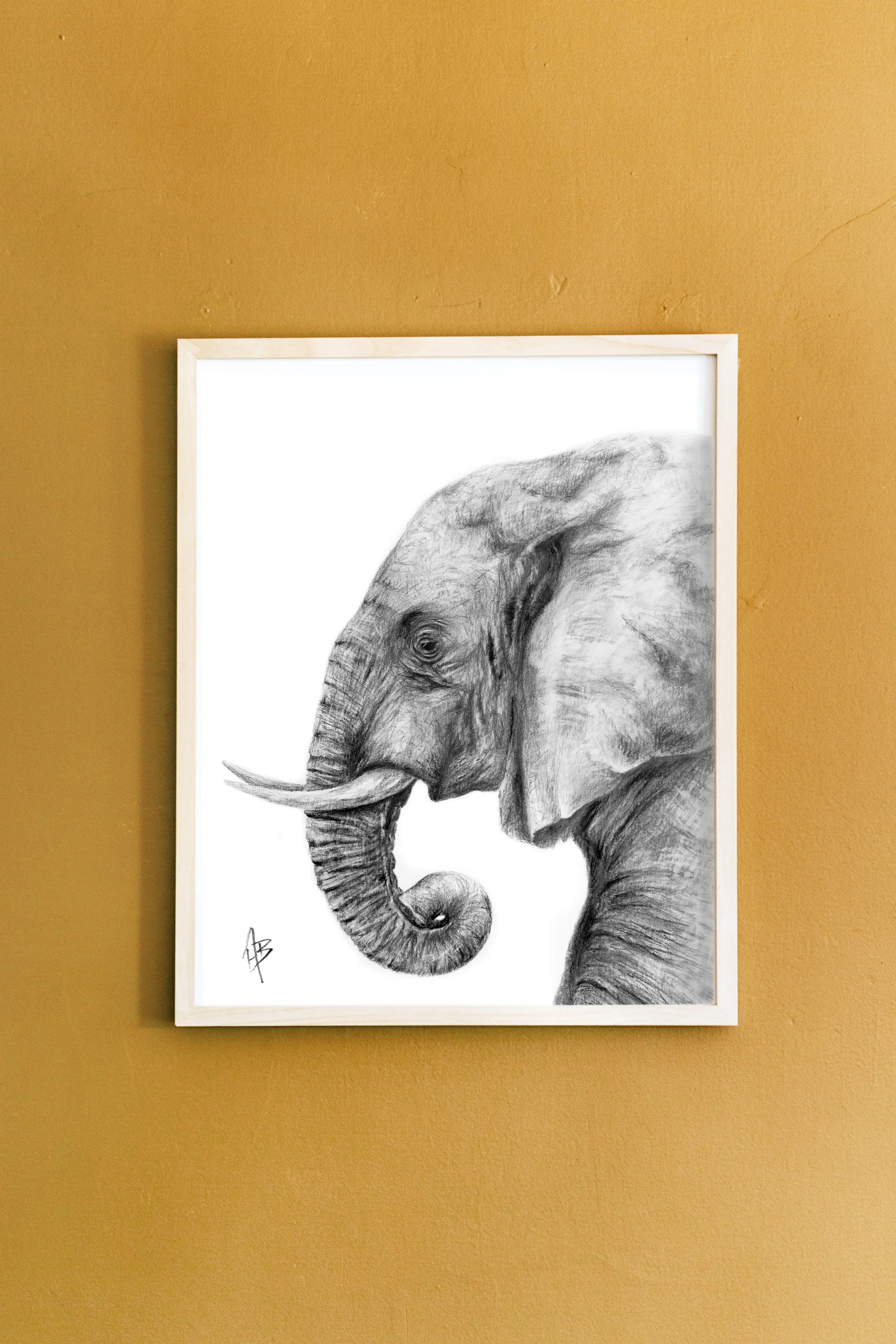 ElephantFramed2.jpg