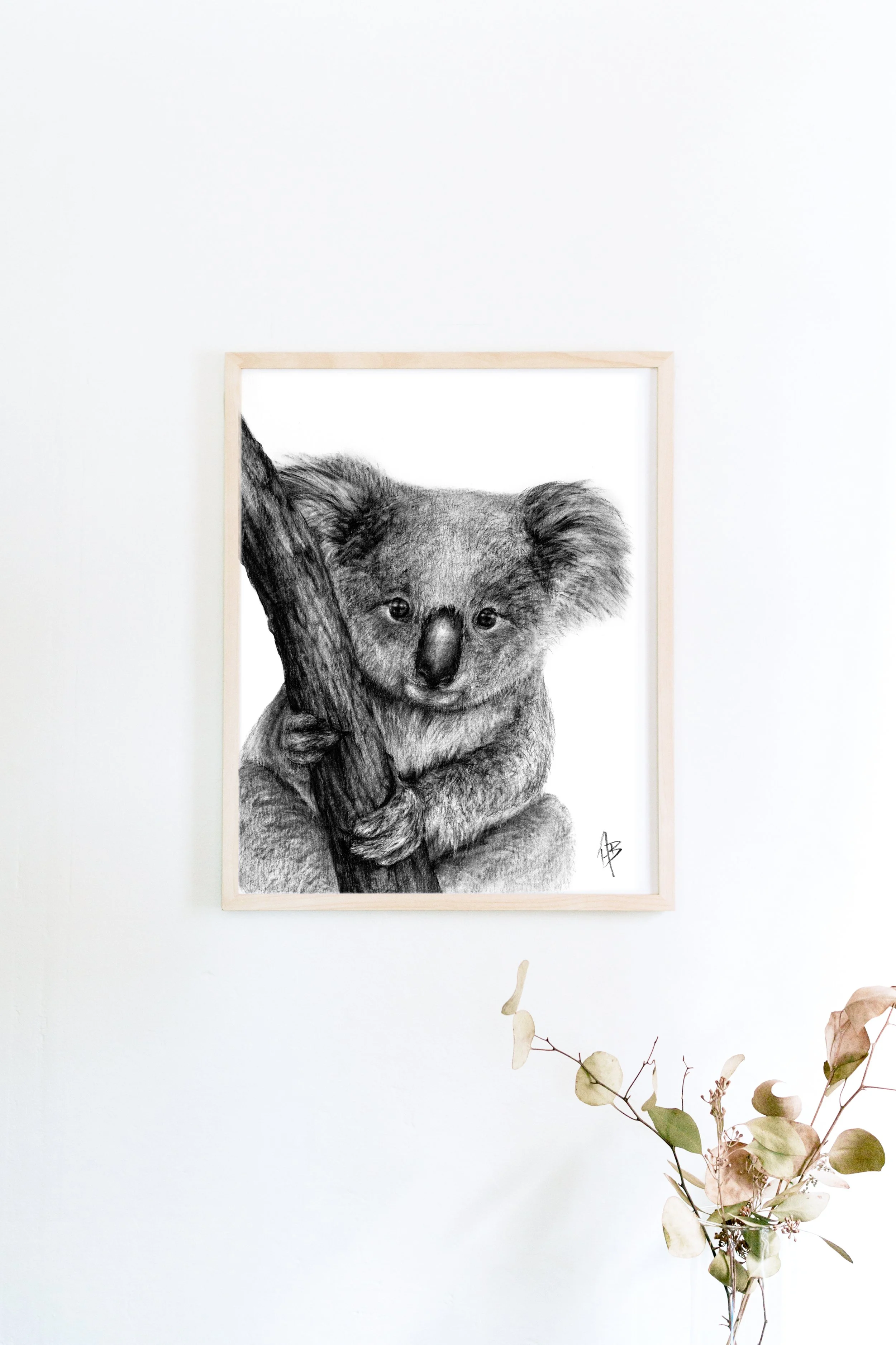 KoalaFramed.jpg