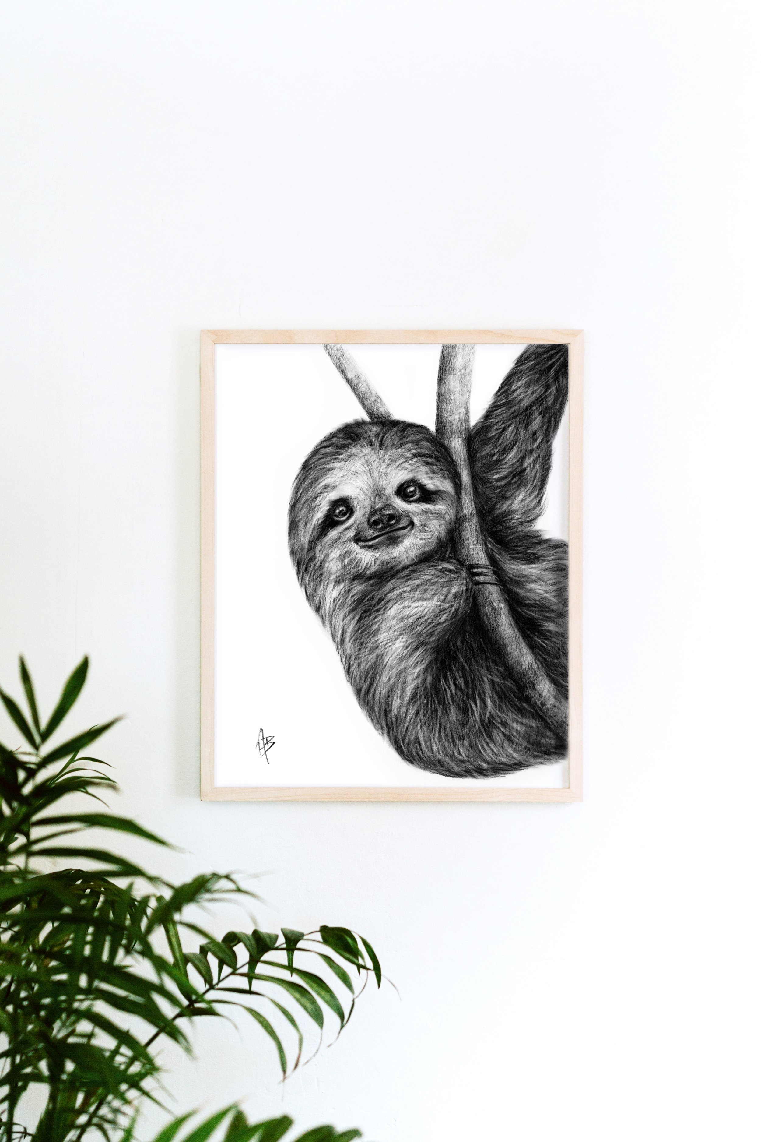 SlothFramed.jpg