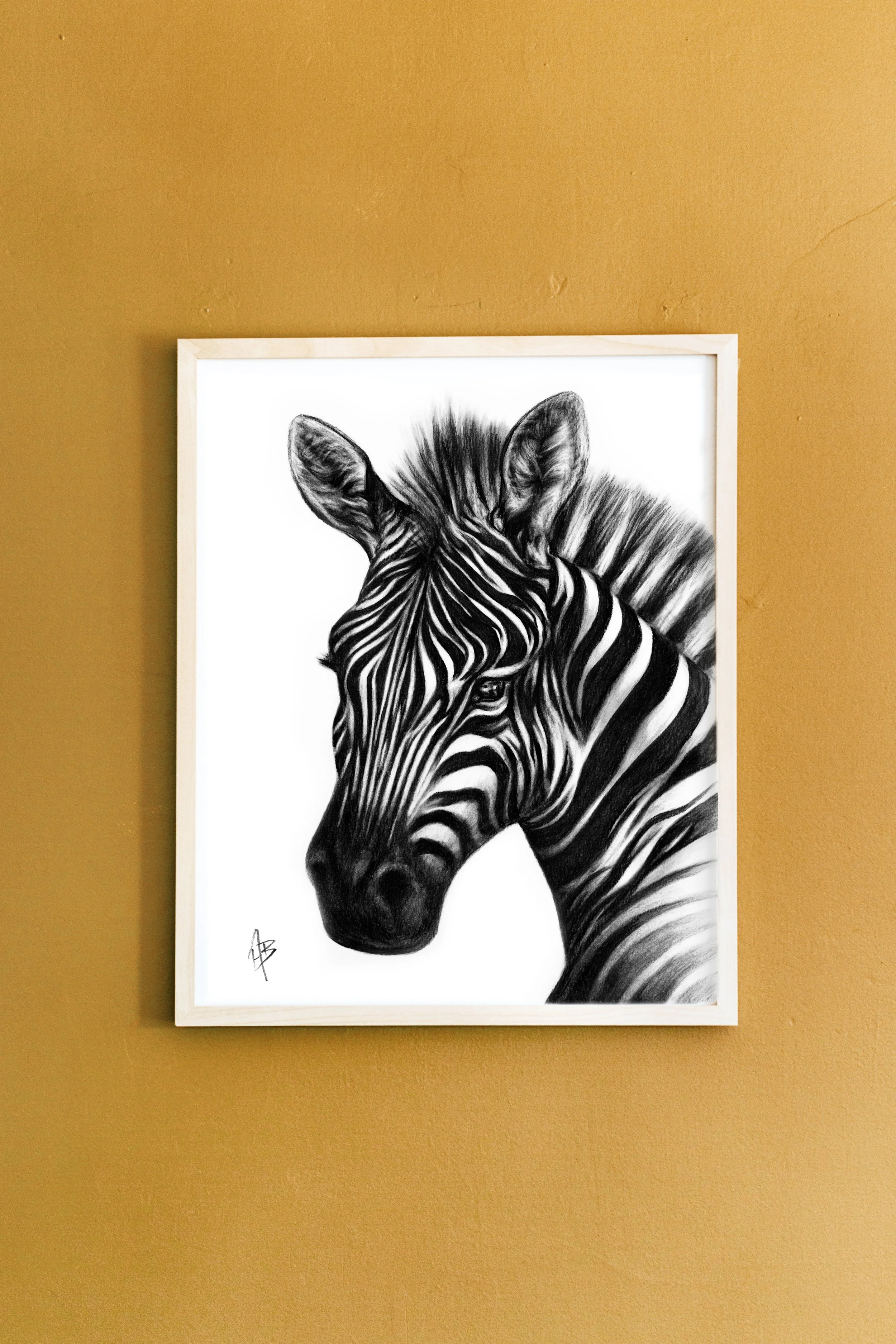 ZebraFramed.jpg