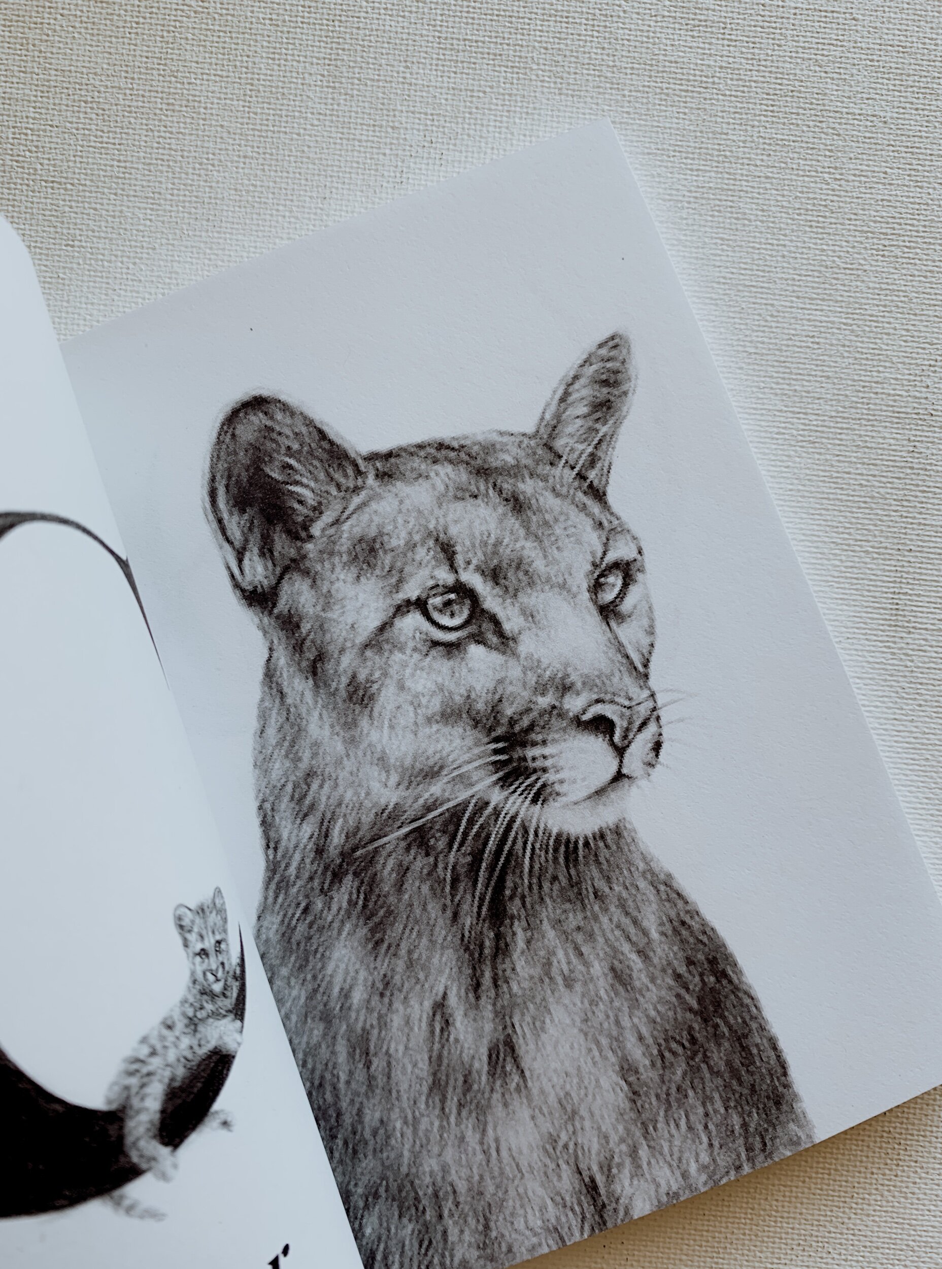 FD2F5CC6-D7D5-4640-A4DA-B4FEED5C91ED