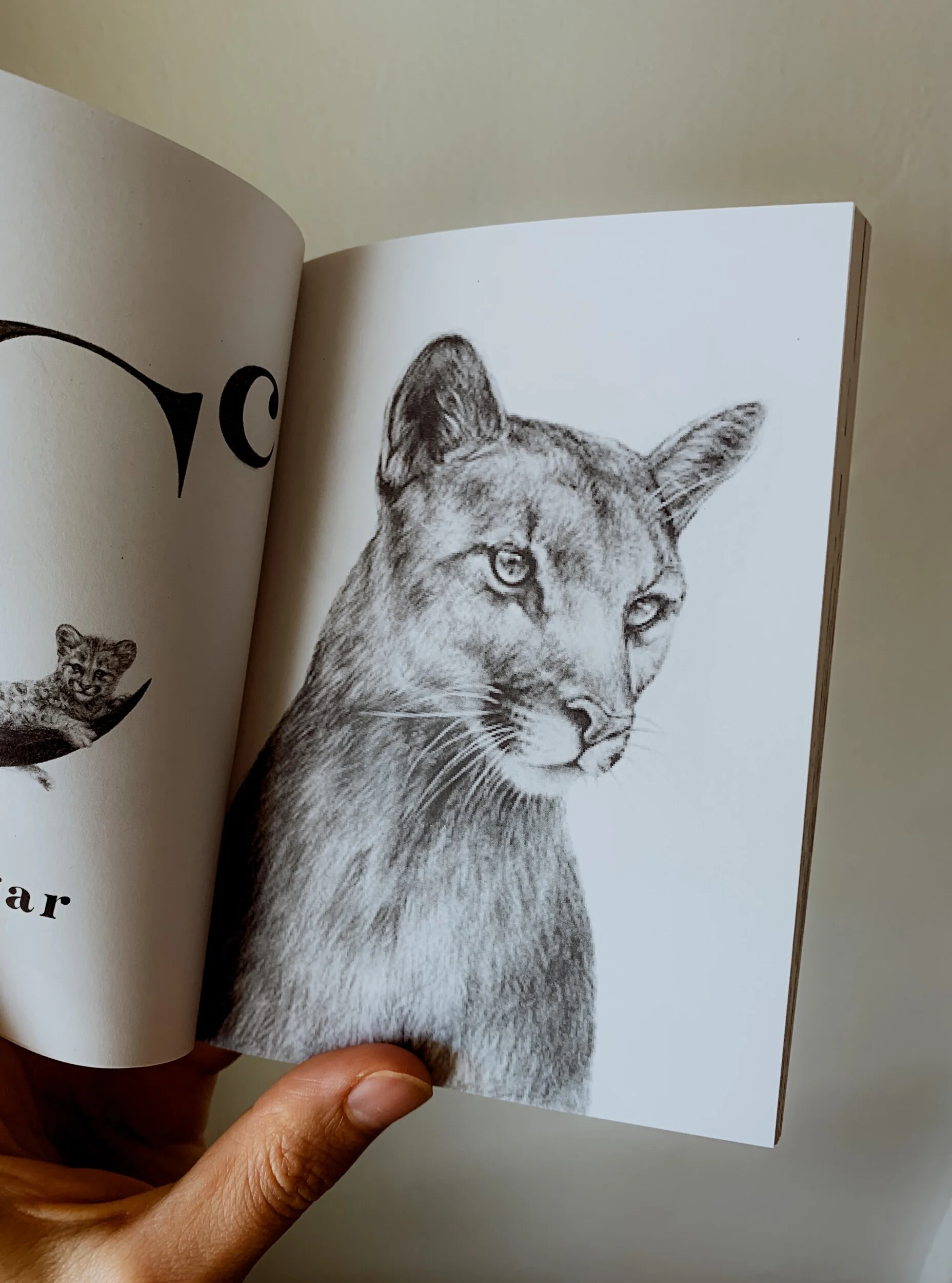 E4A88A37-E469-4D36-BDE8-DF29D31AE131