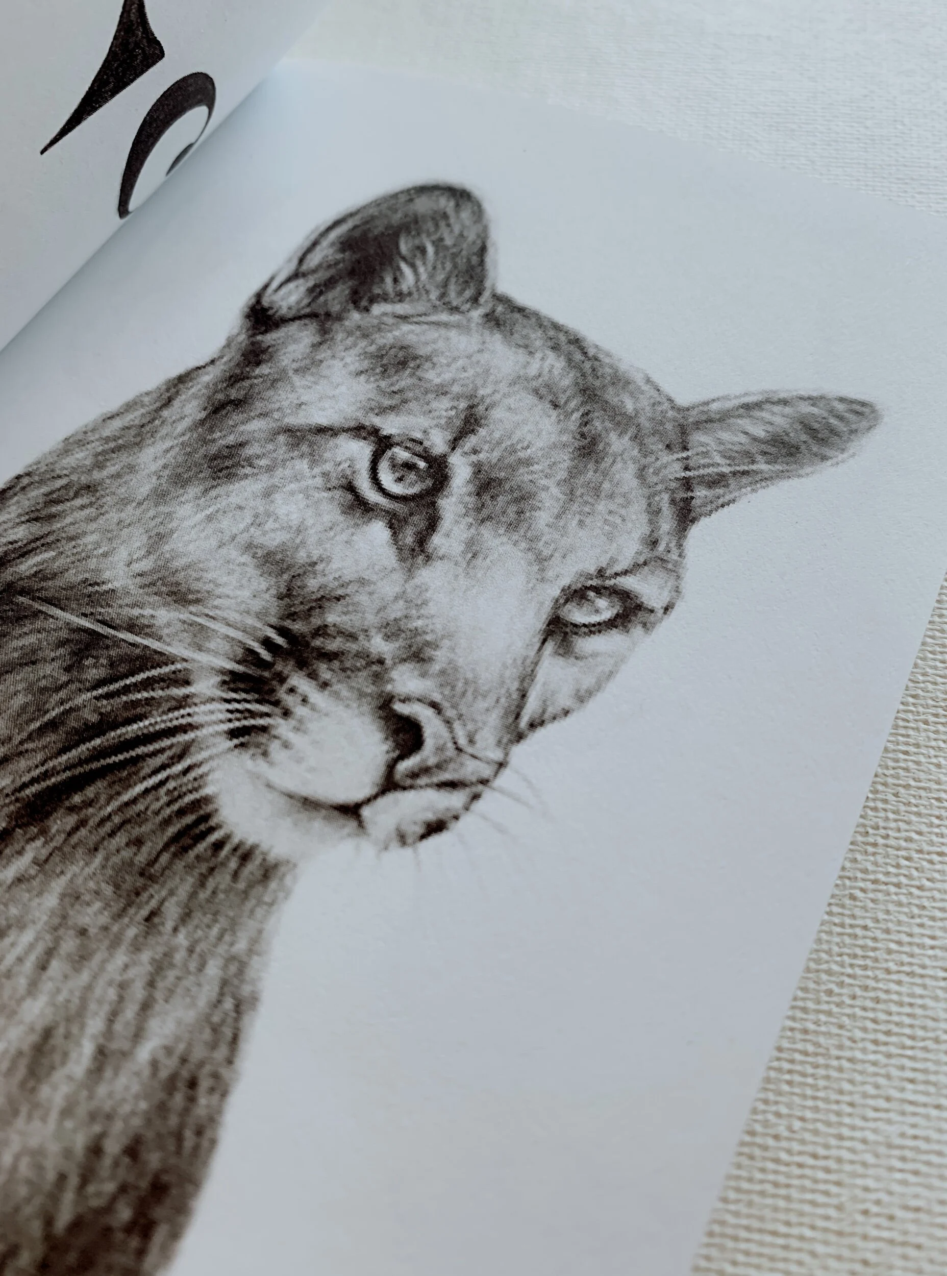 0F839D08-EEFF-45C0-9567-6FEB39BB8BD6