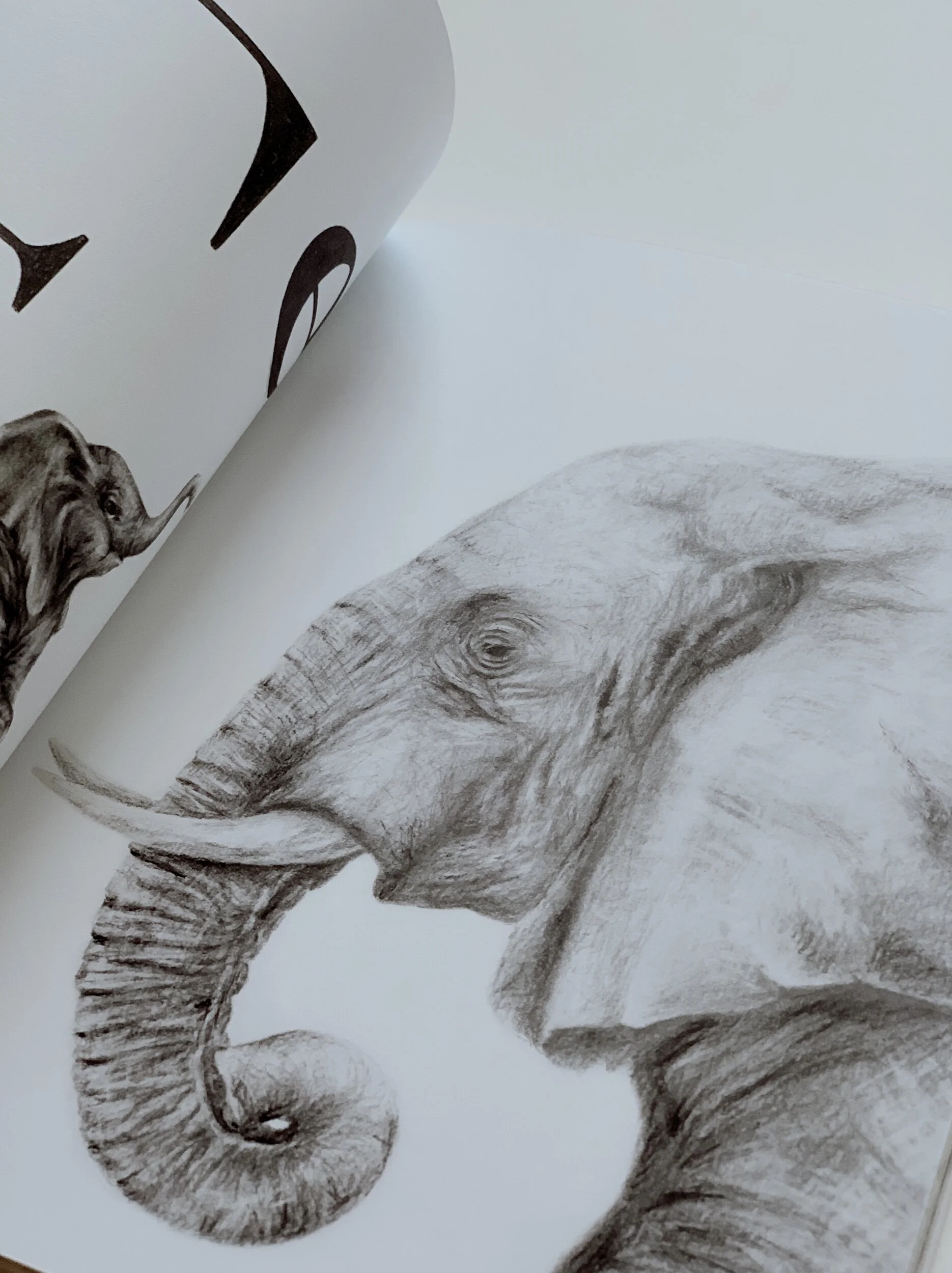 CBF441C9-41E9-42D0-B74F-FFBD7A4FA8D9