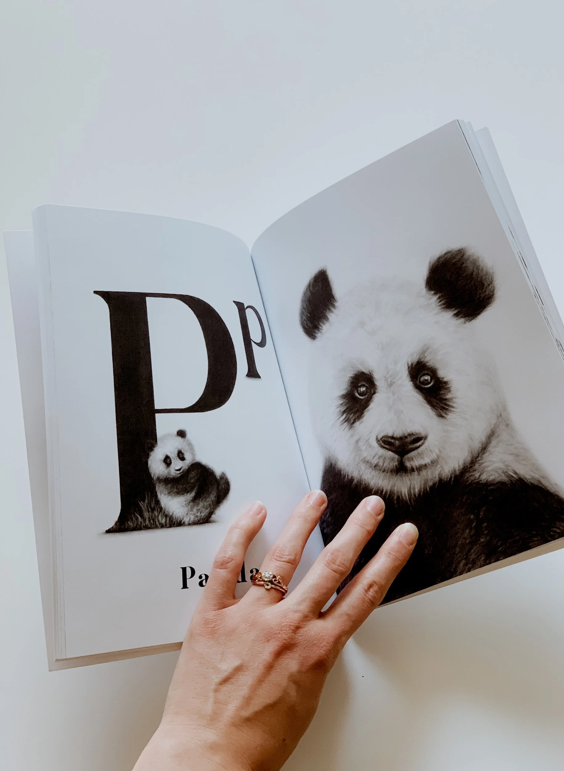 EAFBDBFD-FD7C-494F-AAEF-5A0435850B89