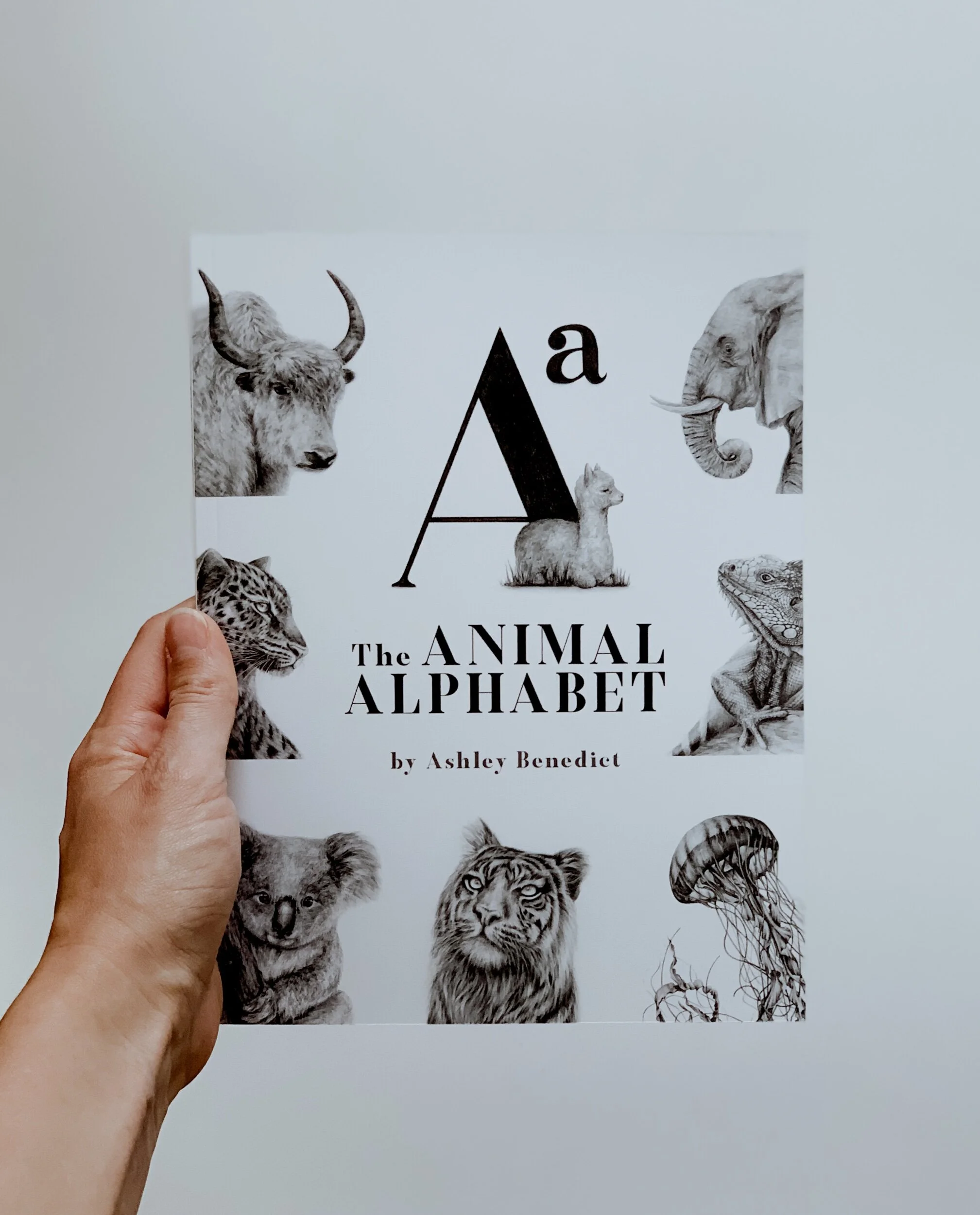 5A438A37-FAAC-41AA-9681-CFB1306E8655