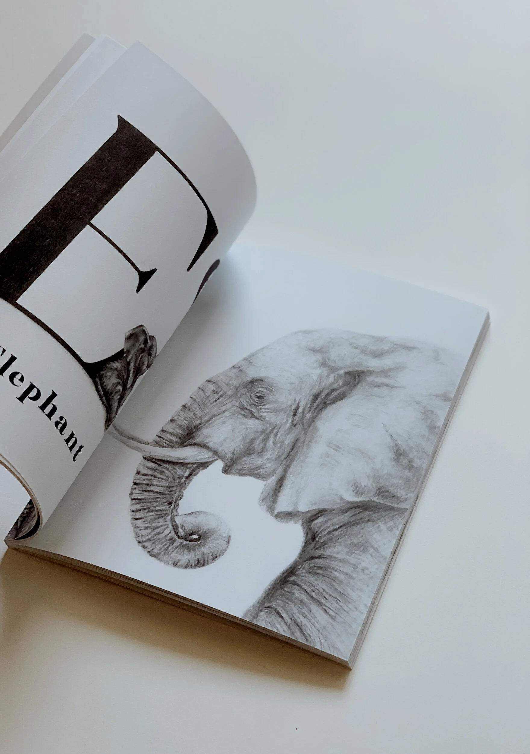 E221AA49-860E-4C4B-ABE2-720E486B051E